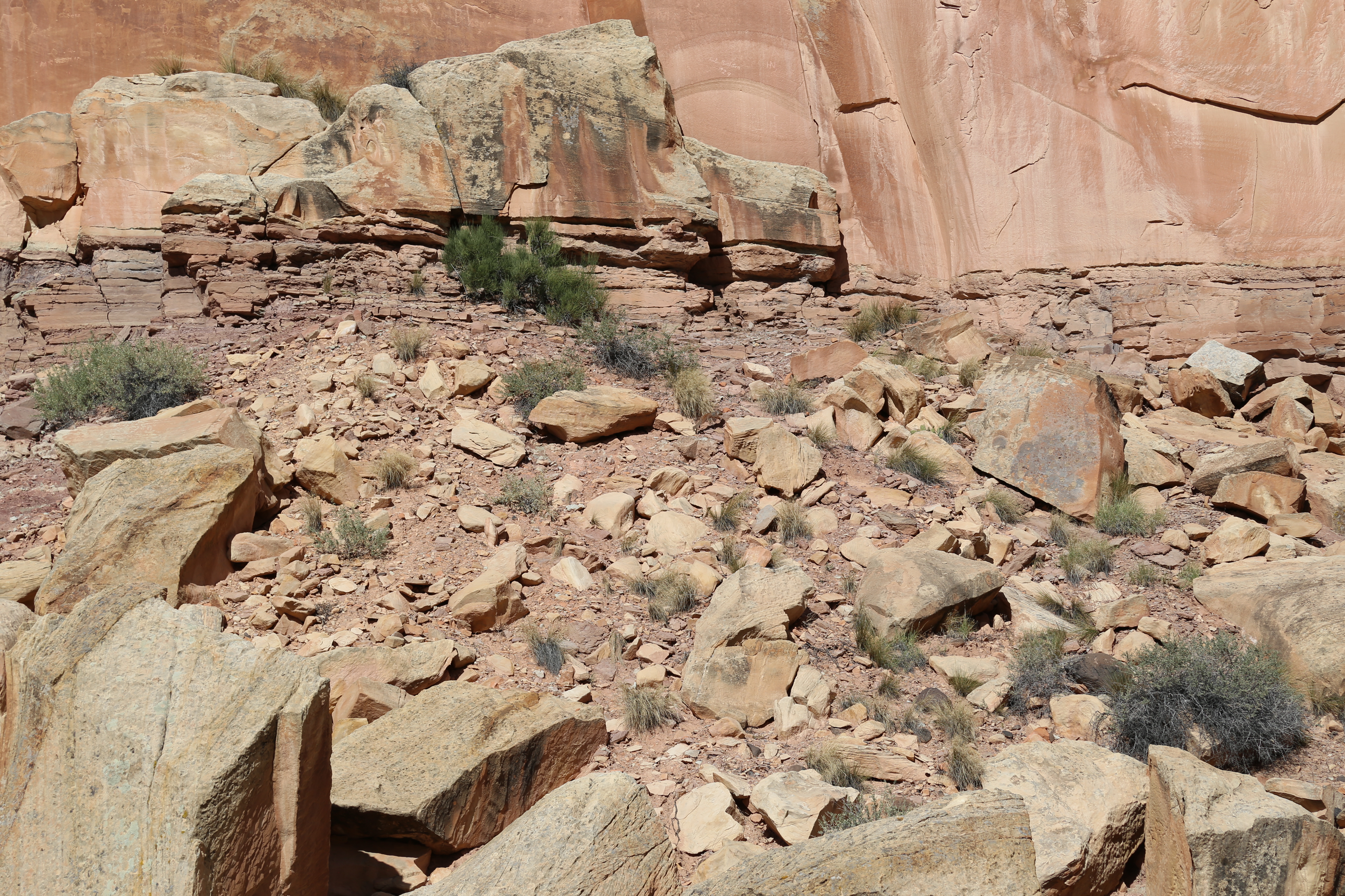 2015 Fall Break - Day 1 - Capitol Reef National Park (Fremont Petroglyphs, Fruita Historic Schoolhouse, Gifford House Pies, Indian in the Cupboard)