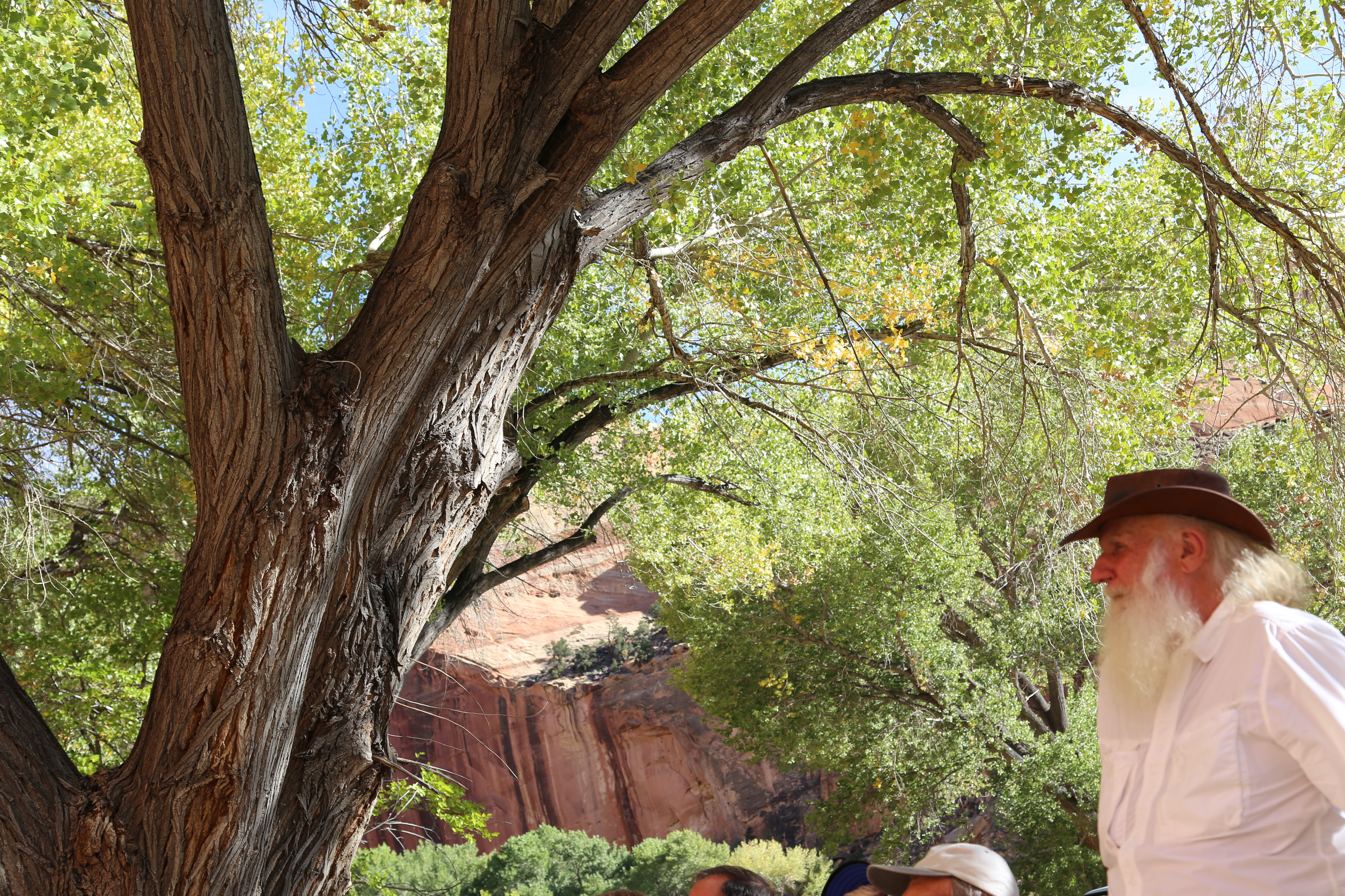 2015 Fall Break - Day 1 - Capitol Reef National Park (Fremont Petroglyphs, Fruita Historic Schoolhouse, Gifford House Pies, Indian in the Cupboard)