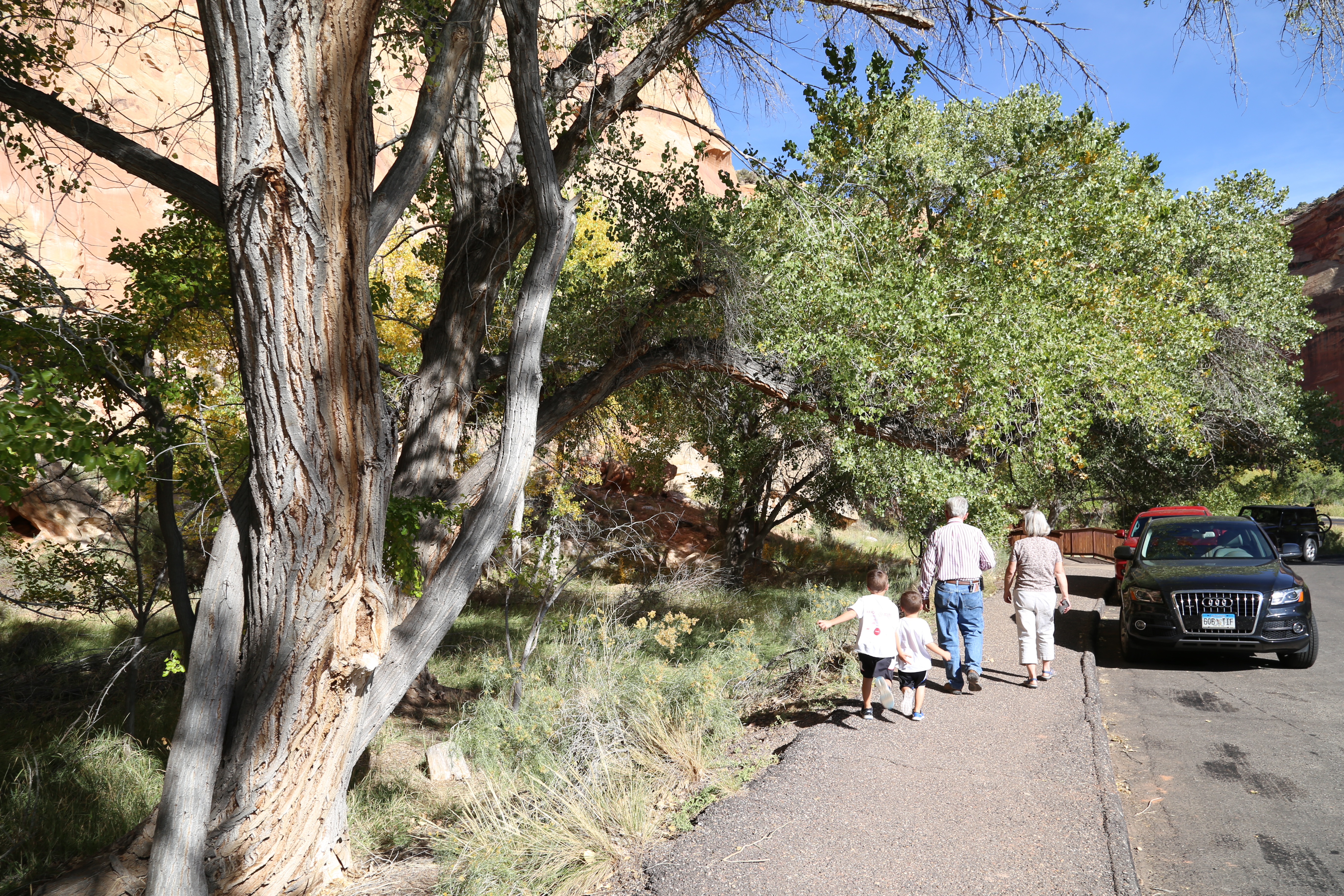 2015 Fall Break - Day 1 - Capitol Reef National Park (Fremont Petroglyphs, Fruita Historic Schoolhouse, Gifford House Pies, Indian in the Cupboard)