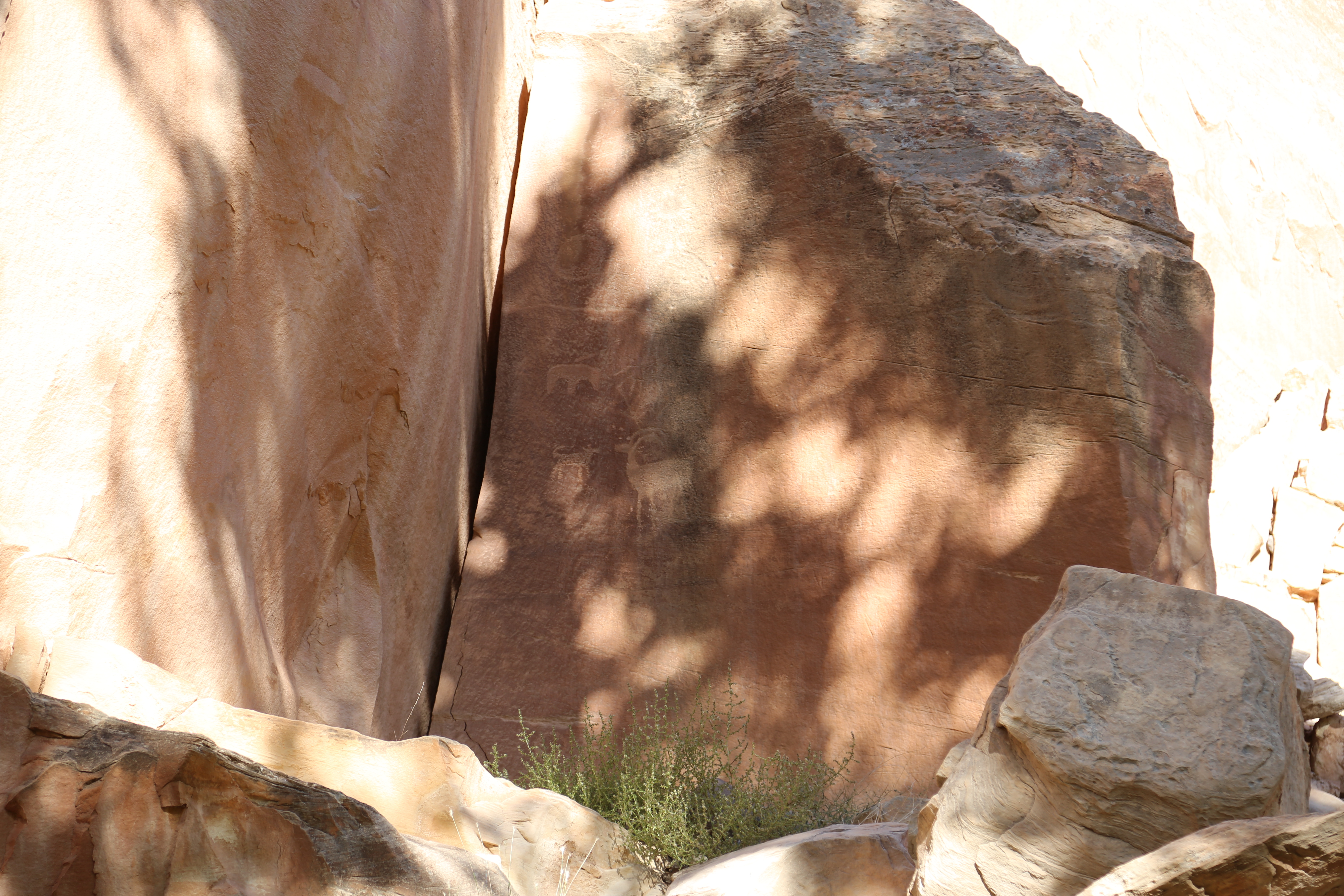 2015 Fall Break - Day 1 - Capitol Reef National Park (Fremont Petroglyphs, Fruita Historic Schoolhouse, Gifford House Pies, Indian in the Cupboard)