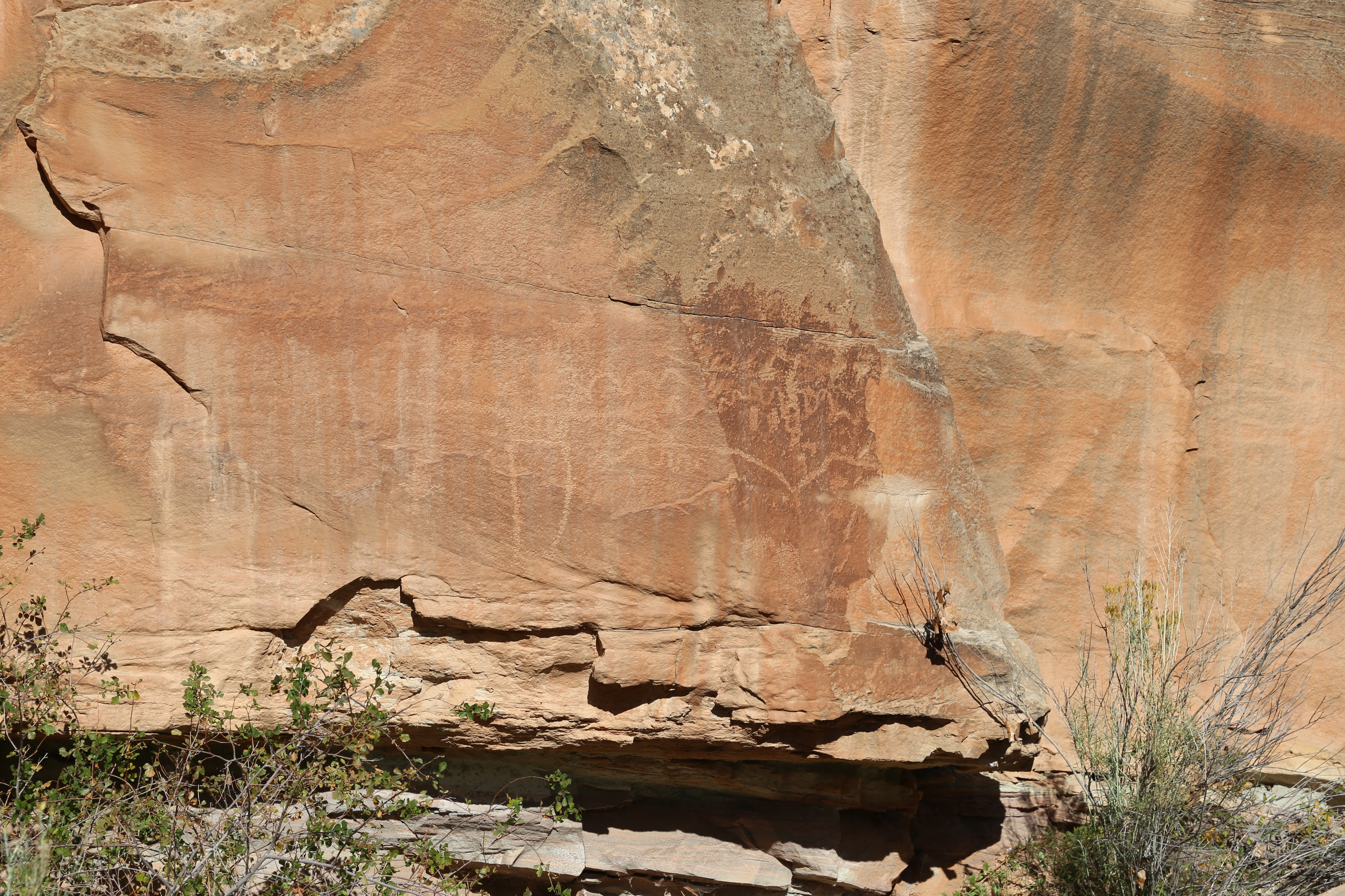 2015 Fall Break - Day 1 - Capitol Reef National Park (Fremont Petroglyphs, Fruita Historic Schoolhouse, Gifford House Pies, Indian in the Cupboard)