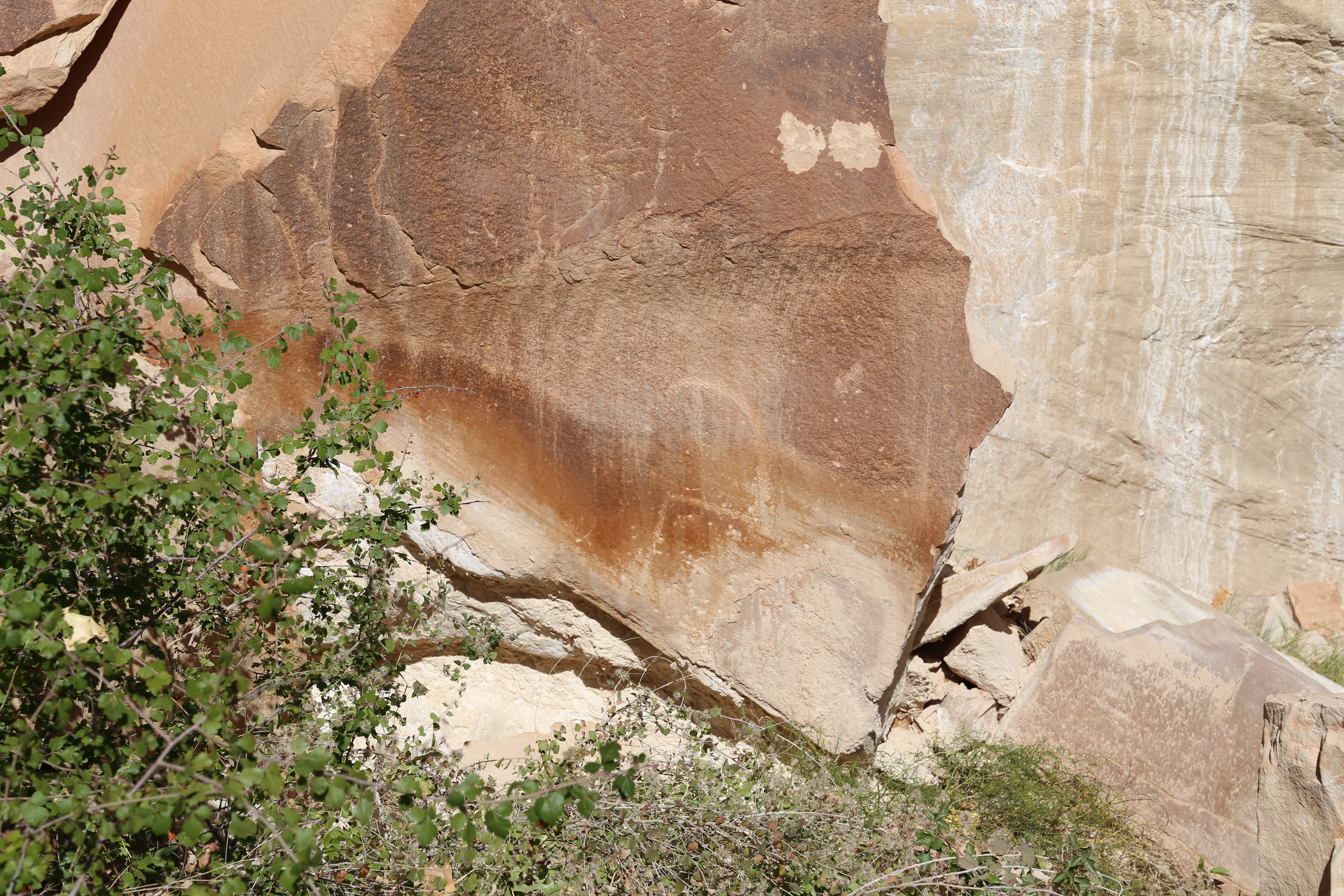 2015 Fall Break - Day 1 - Capitol Reef National Park (Fremont Petroglyphs, Fruita Historic Schoolhouse, Gifford House Pies, Indian in the Cupboard)