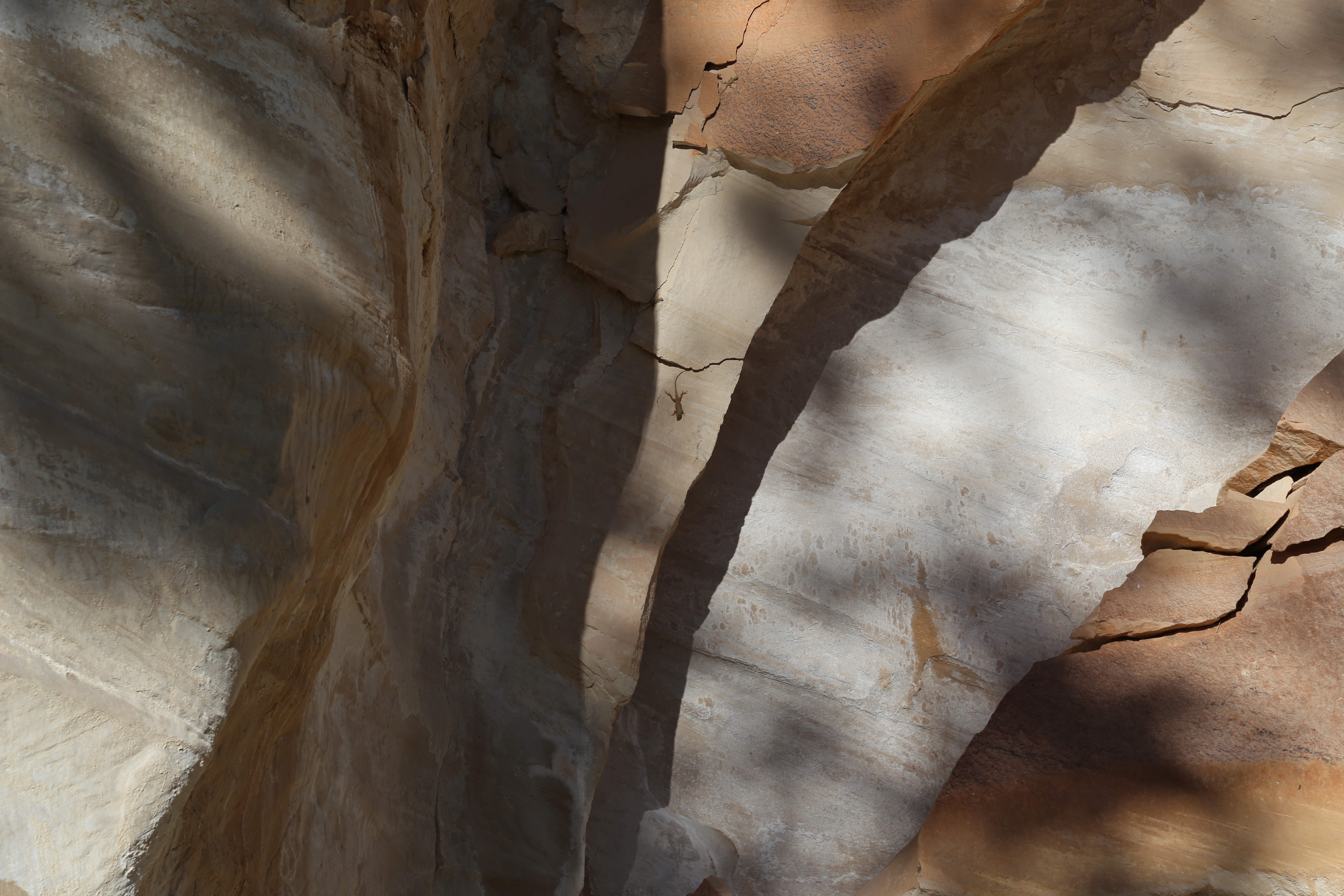 2015 Fall Break - Day 1 - Capitol Reef National Park (Fremont Petroglyphs, Fruita Historic Schoolhouse, Gifford House Pies, Indian in the Cupboard)