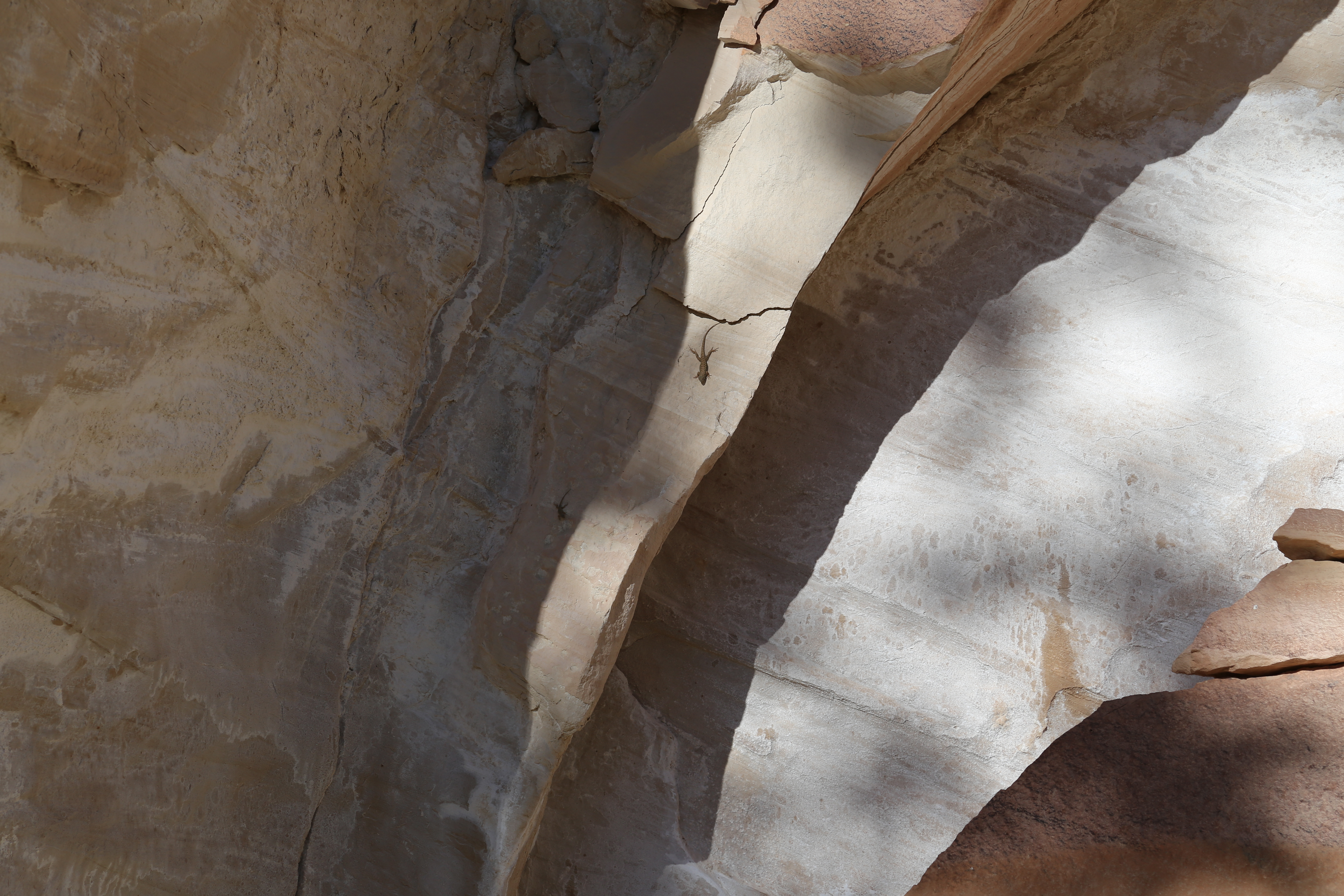 2015 Fall Break - Day 1 - Capitol Reef National Park (Fremont Petroglyphs, Fruita Historic Schoolhouse, Gifford House Pies, Indian in the Cupboard)