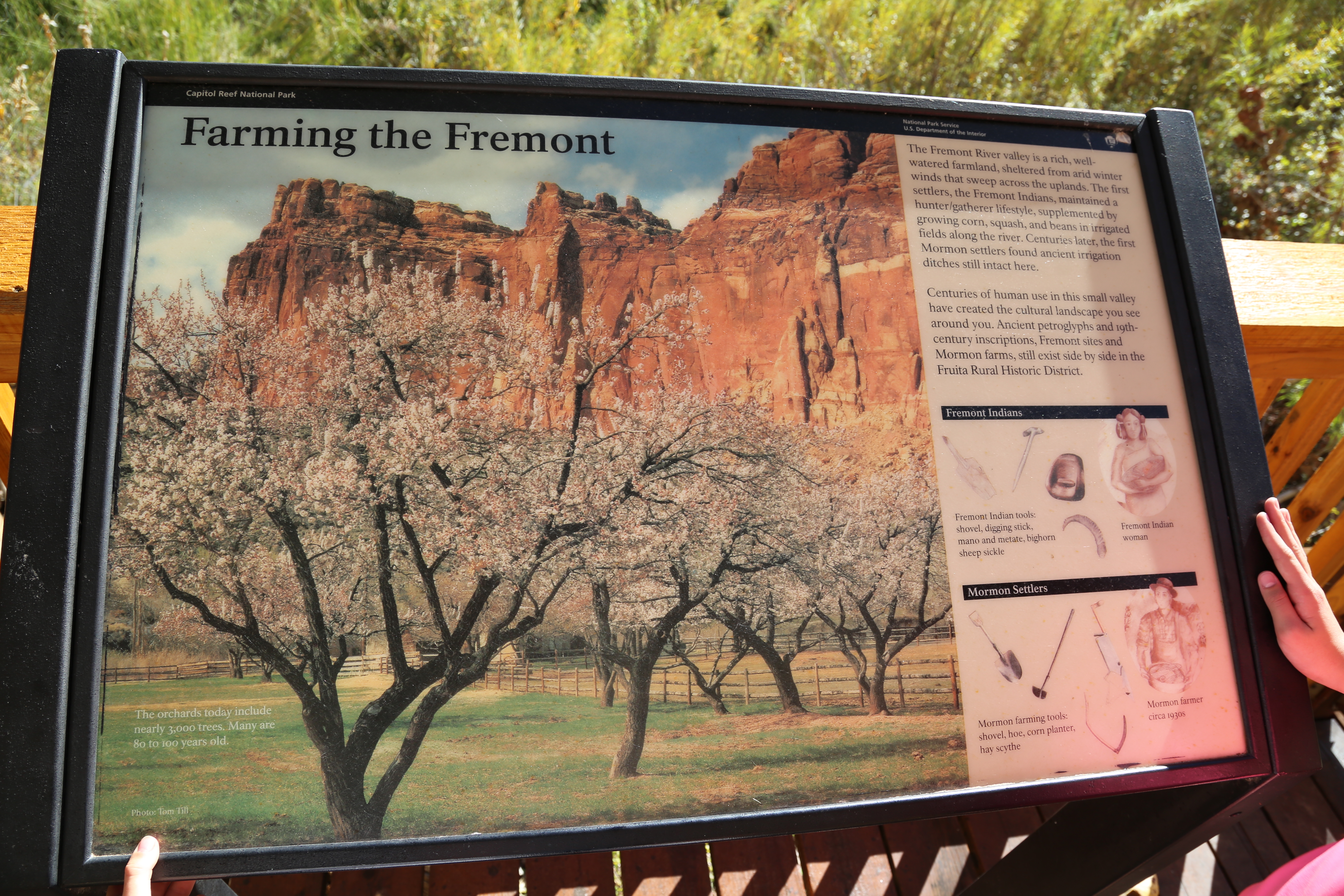 2015 Fall Break - Day 1 - Capitol Reef National Park (Fremont Petroglyphs, Fruita Historic Schoolhouse, Gifford House Pies, Indian in the Cupboard)