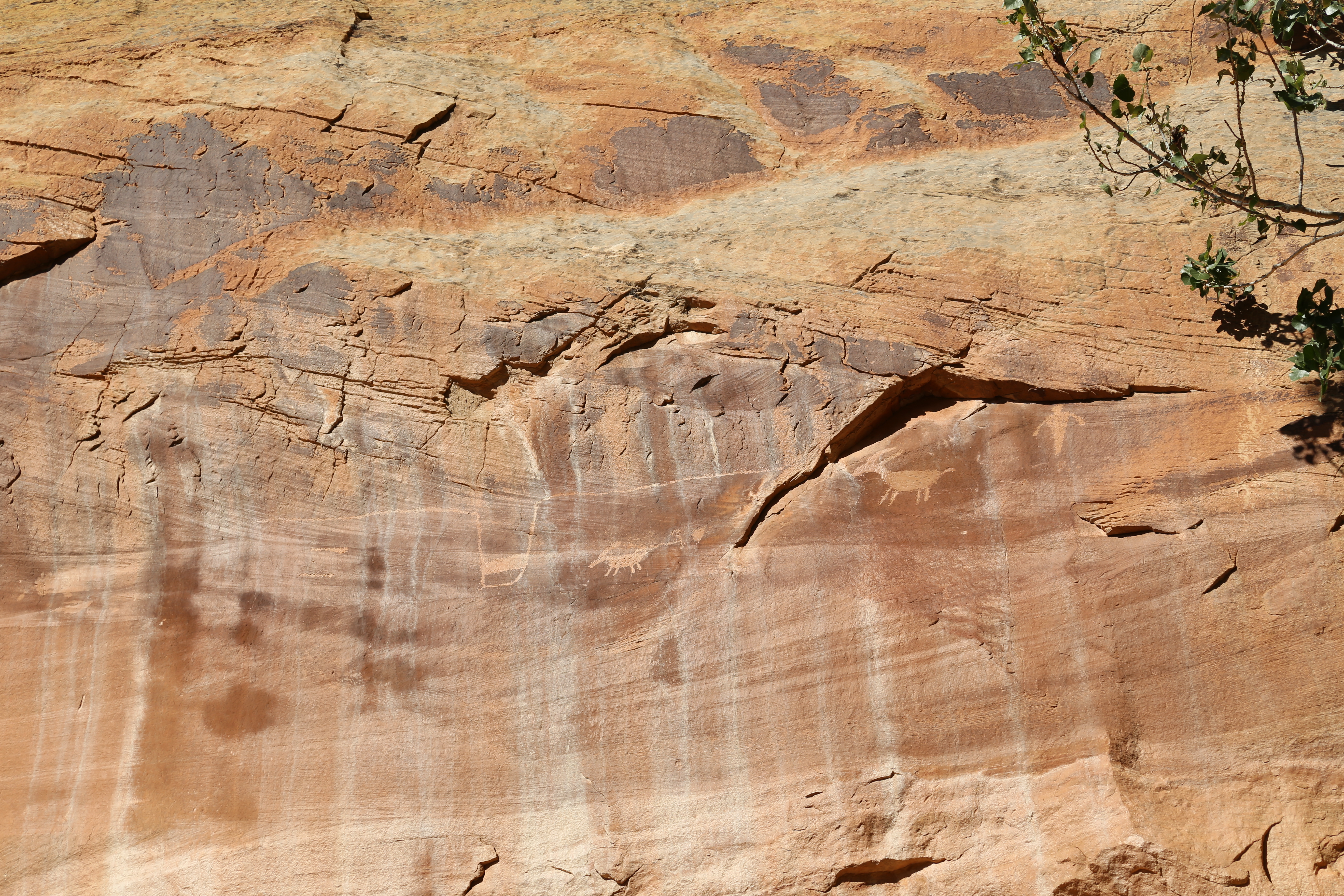 2015 Fall Break - Day 1 - Capitol Reef National Park (Fremont Petroglyphs, Fruita Historic Schoolhouse, Gifford House Pies, Indian in the Cupboard)