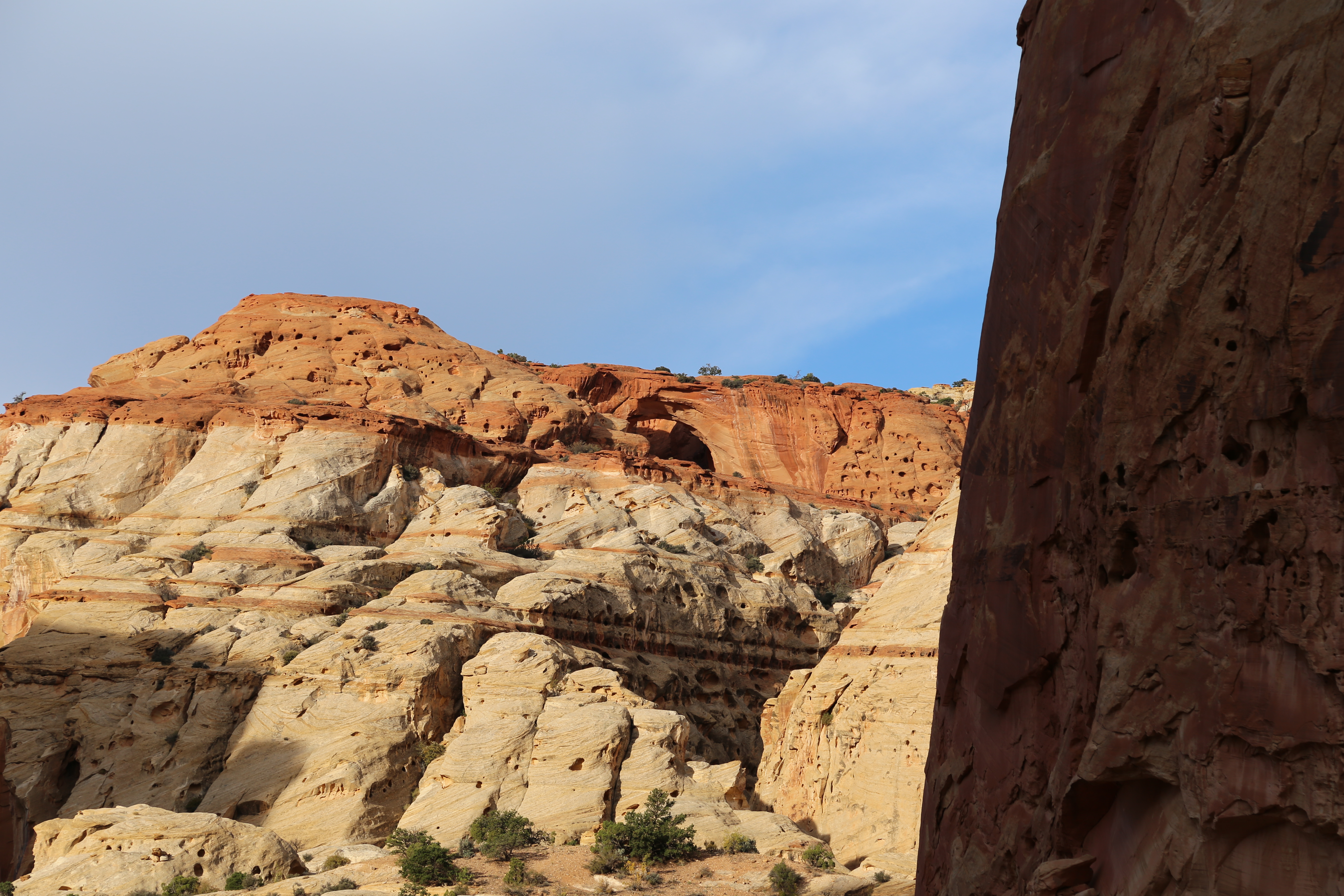 2015 Fall Break - Day 2 - Capitol Reef National Park (Grand Wash Narrows, Capitol Gorge (Petroglyphs, Narrows, Pioneer Register), Waterpocket Fold Drive (Notom-Bullfrog Road, Burr Trail Road), Hell's Backbone Grill (Boulder, Utah))