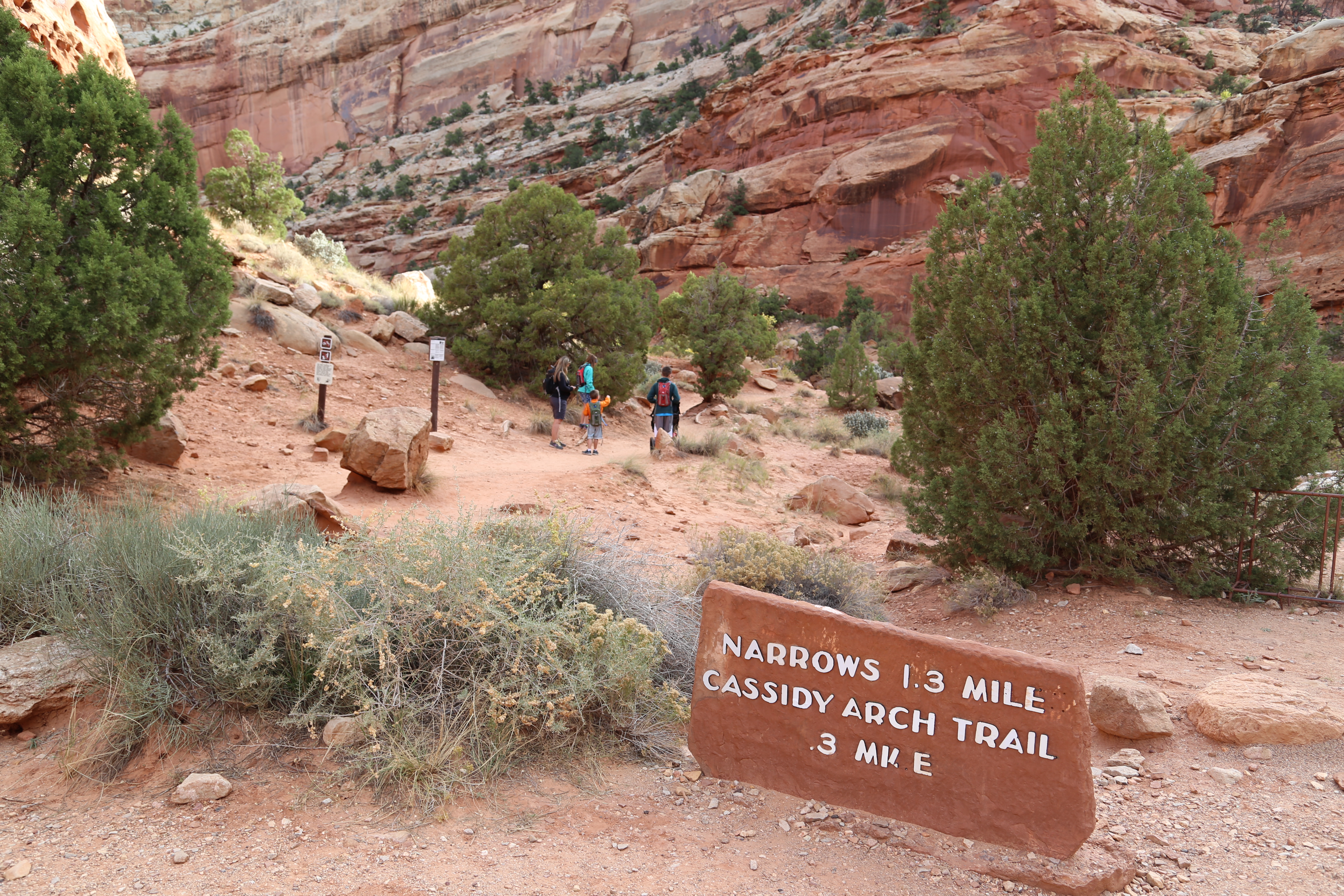 2015 Fall Break - Day 2 - Capitol Reef National Park (Grand Wash Narrows, Capitol Gorge (Petroglyphs, Narrows, Pioneer Register), Waterpocket Fold Drive (Notom-Bullfrog Road, Burr Trail Road), Hell's Backbone Grill (Boulder, Utah))