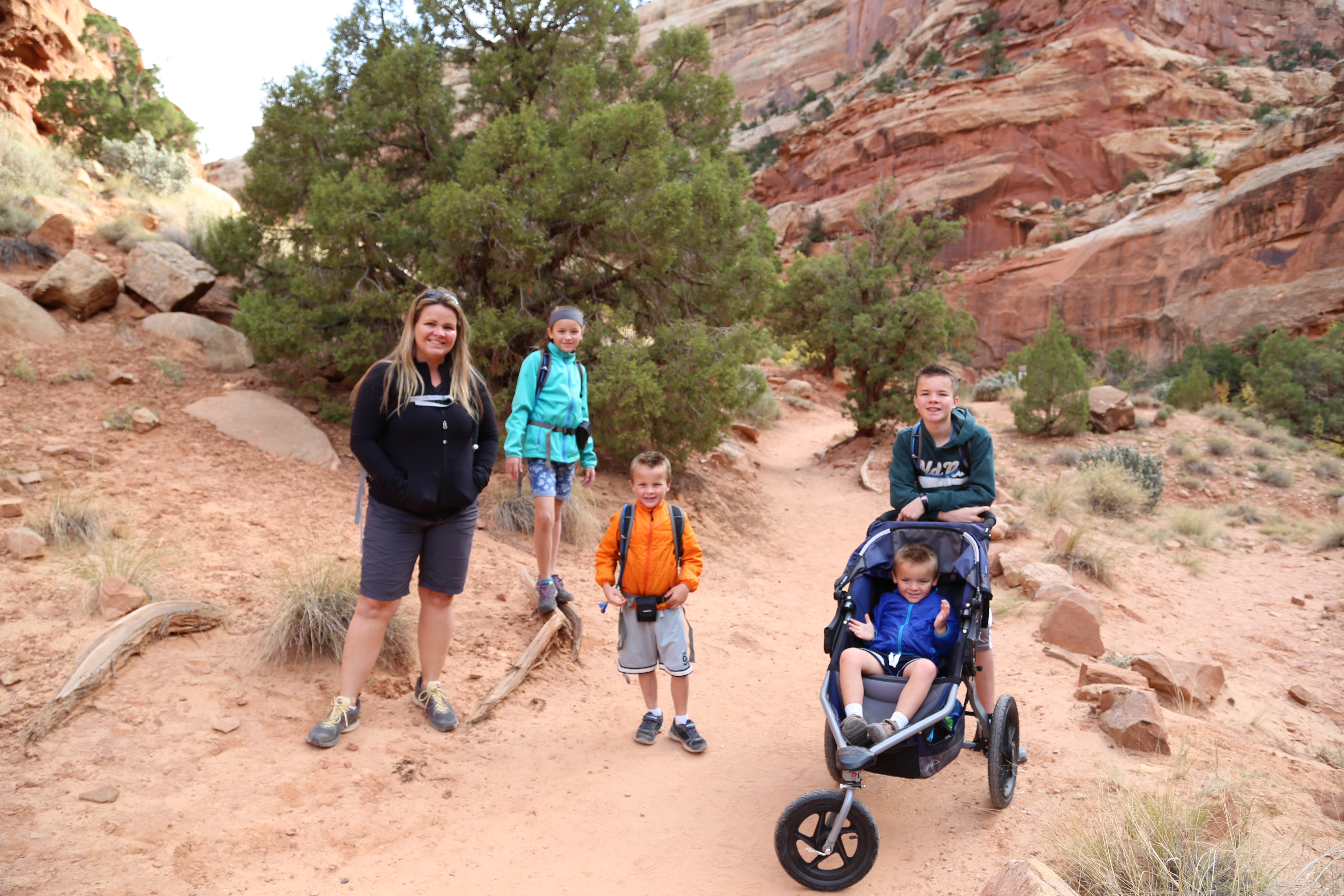 2015 Fall Break - Day 2 - Capitol Reef National Park (Grand Wash Narrows, Capitol Gorge (Petroglyphs, Narrows, Pioneer Register), Waterpocket Fold Drive (Notom-Bullfrog Road, Burr Trail Road), Hell's Backbone Grill (Boulder, Utah))