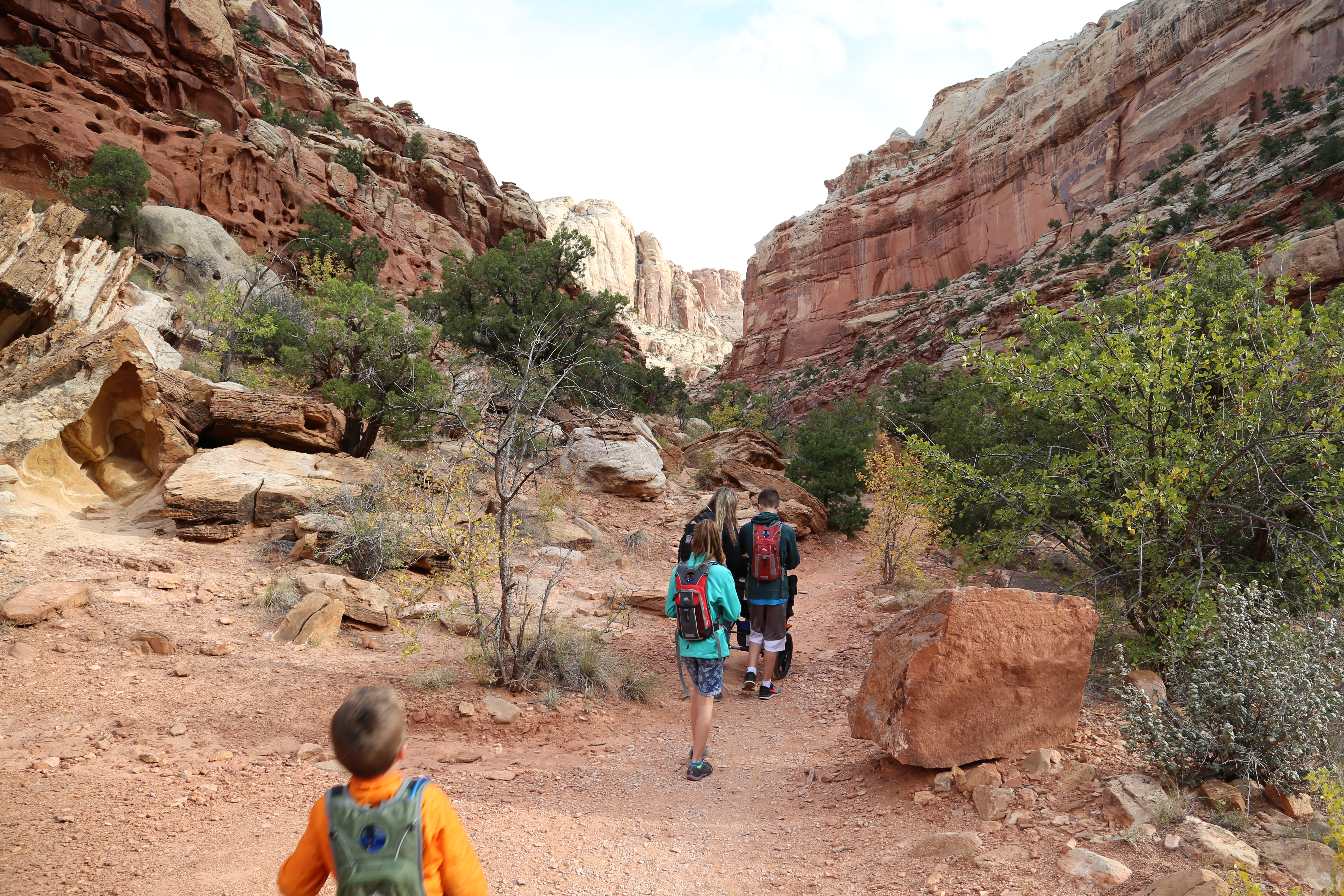 2015 Fall Break - Day 2 - Capitol Reef National Park (Grand Wash Narrows, Capitol Gorge (Petroglyphs, Narrows, Pioneer Register), Waterpocket Fold Drive (Notom-Bullfrog Road, Burr Trail Road), Hell's Backbone Grill (Boulder, Utah))