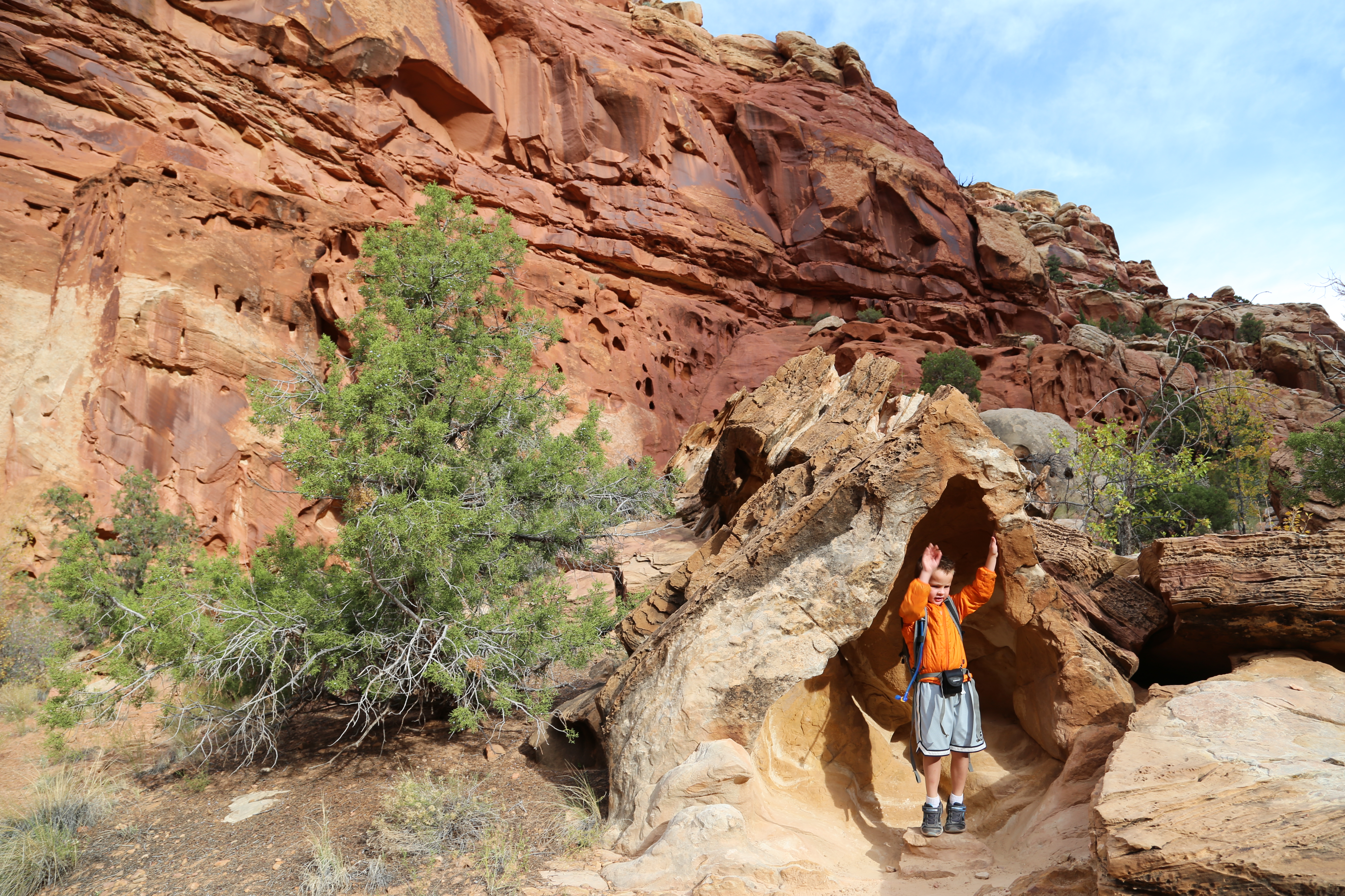 2015 Fall Break - Day 2 - Capitol Reef National Park (Grand Wash Narrows, Capitol Gorge (Petroglyphs, Narrows, Pioneer Register), Waterpocket Fold Drive (Notom-Bullfrog Road, Burr Trail Road), Hell's Backbone Grill (Boulder, Utah))