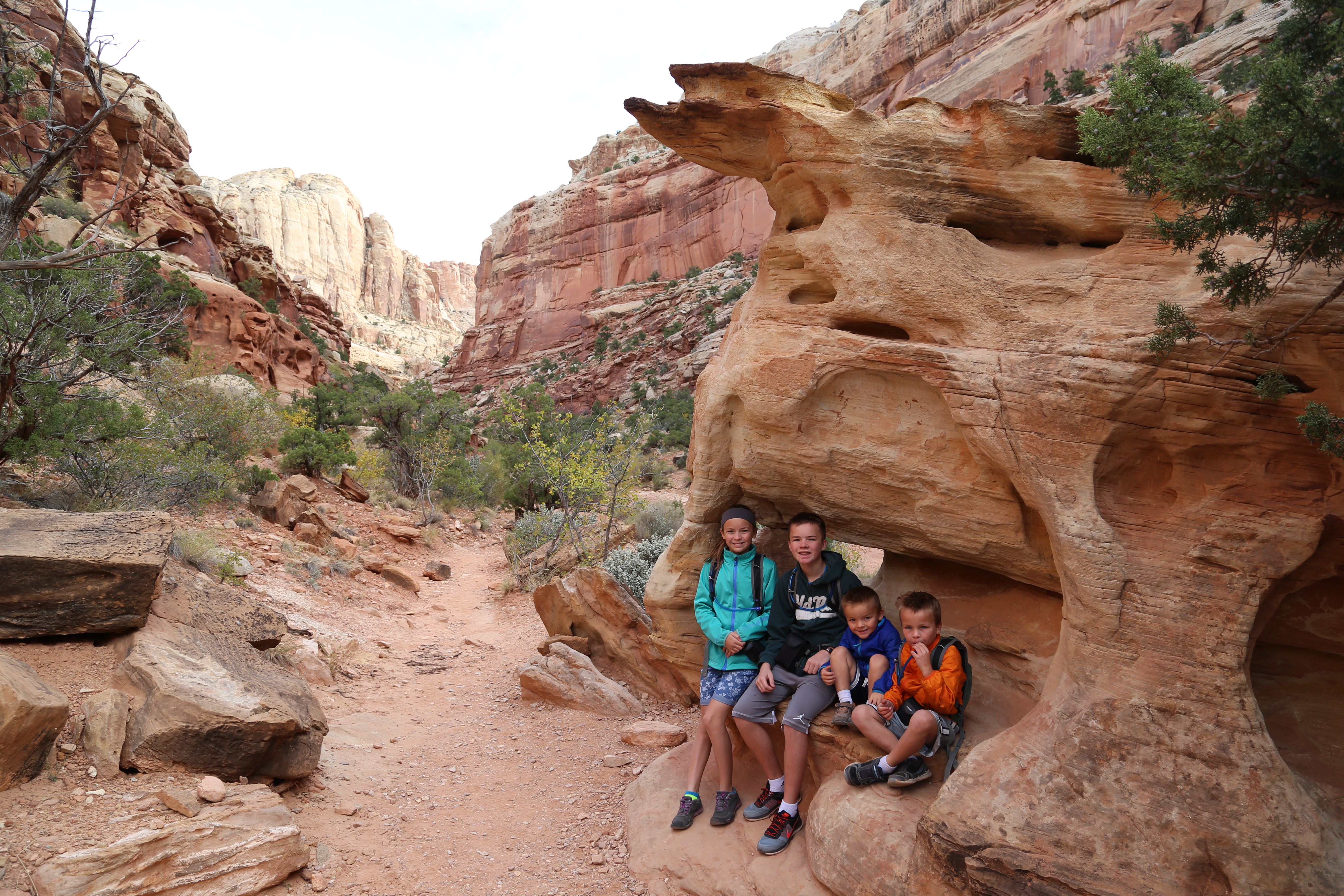 2015 Fall Break - Day 2 - Capitol Reef National Park (Grand Wash Narrows, Capitol Gorge (Petroglyphs, Narrows, Pioneer Register), Waterpocket Fold Drive (Notom-Bullfrog Road, Burr Trail Road), Hell's Backbone Grill (Boulder, Utah))