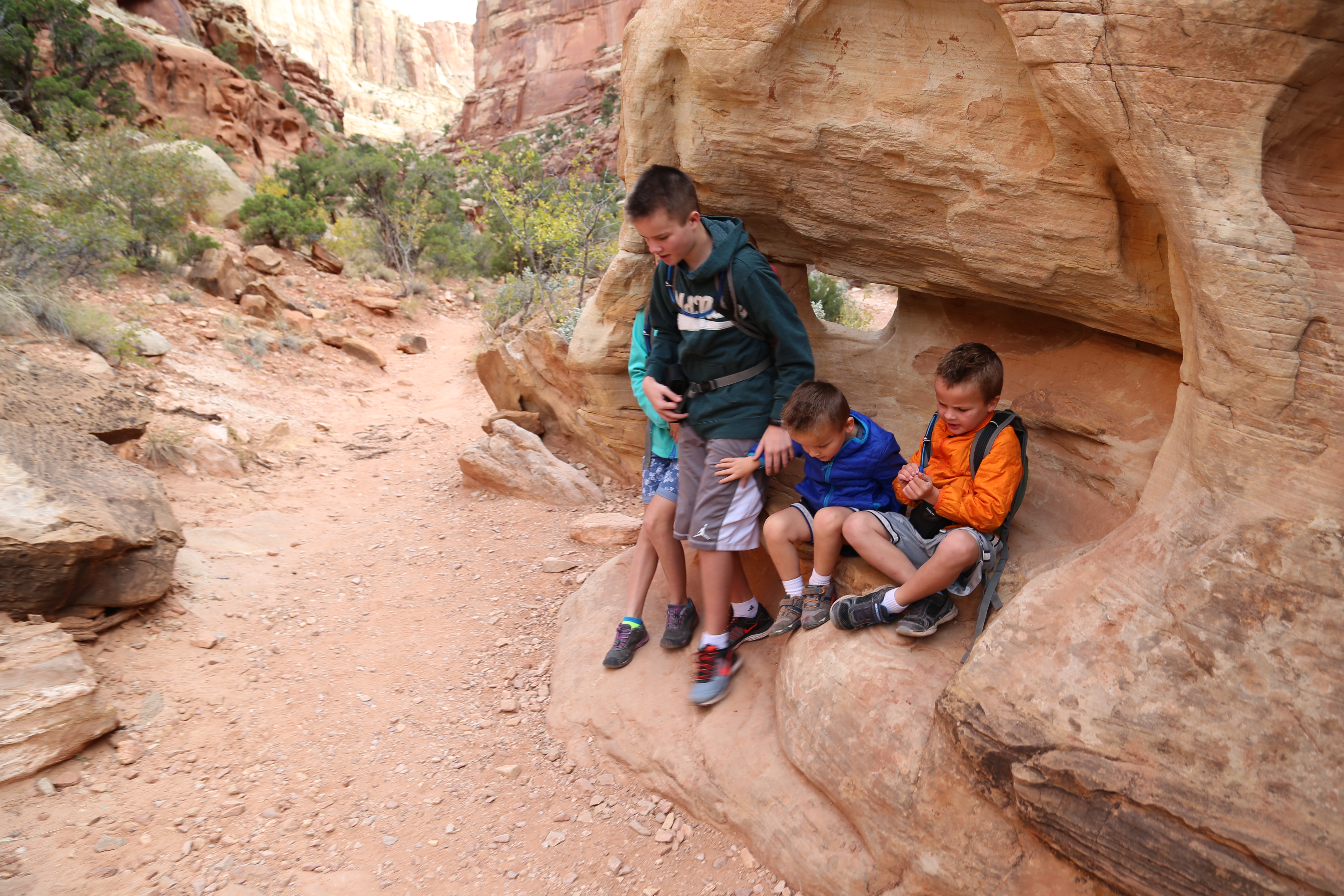 2015 Fall Break - Day 2 - Capitol Reef National Park (Grand Wash Narrows, Capitol Gorge (Petroglyphs, Narrows, Pioneer Register), Waterpocket Fold Drive (Notom-Bullfrog Road, Burr Trail Road), Hell's Backbone Grill (Boulder, Utah))