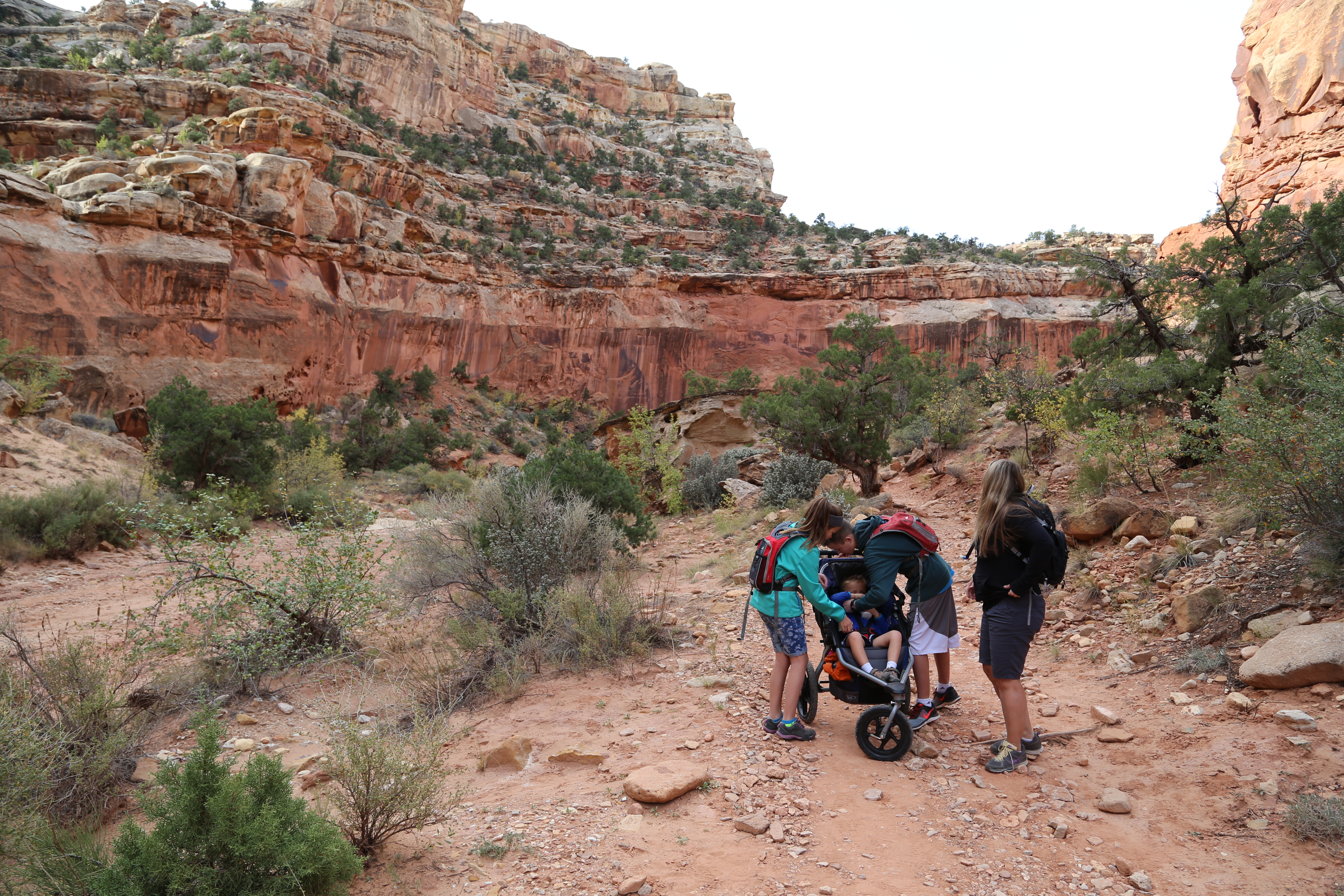 2015 Fall Break - Day 2 - Capitol Reef National Park (Grand Wash Narrows, Capitol Gorge (Petroglyphs, Narrows, Pioneer Register), Waterpocket Fold Drive (Notom-Bullfrog Road, Burr Trail Road), Hell's Backbone Grill (Boulder, Utah))