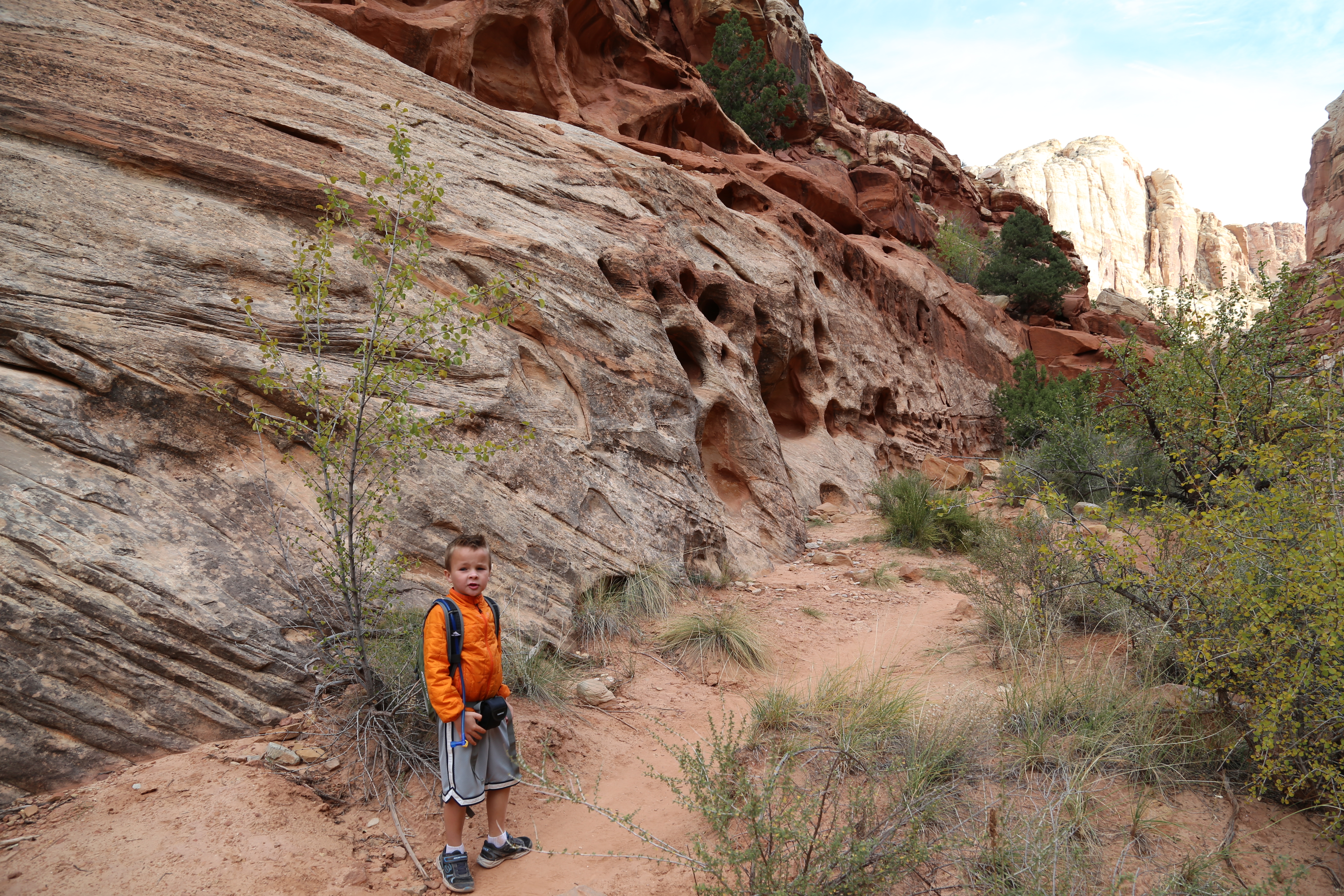 2015 Fall Break - Day 2 - Capitol Reef National Park (Grand Wash Narrows, Capitol Gorge (Petroglyphs, Narrows, Pioneer Register), Waterpocket Fold Drive (Notom-Bullfrog Road, Burr Trail Road), Hell's Backbone Grill (Boulder, Utah))