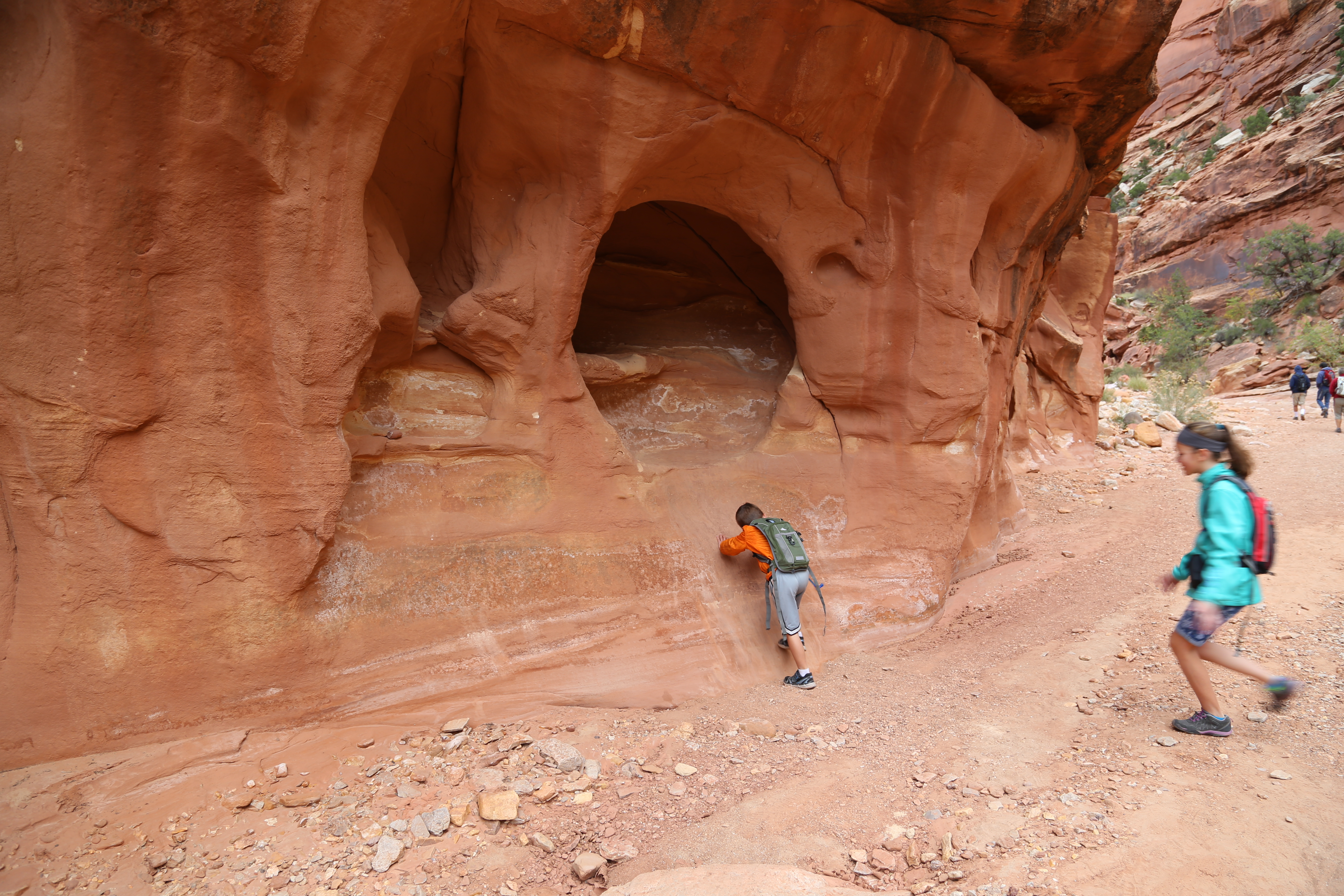 2015 Fall Break - Day 2 - Capitol Reef National Park (Grand Wash Narrows, Capitol Gorge (Petroglyphs, Narrows, Pioneer Register), Waterpocket Fold Drive (Notom-Bullfrog Road, Burr Trail Road), Hell's Backbone Grill (Boulder, Utah))