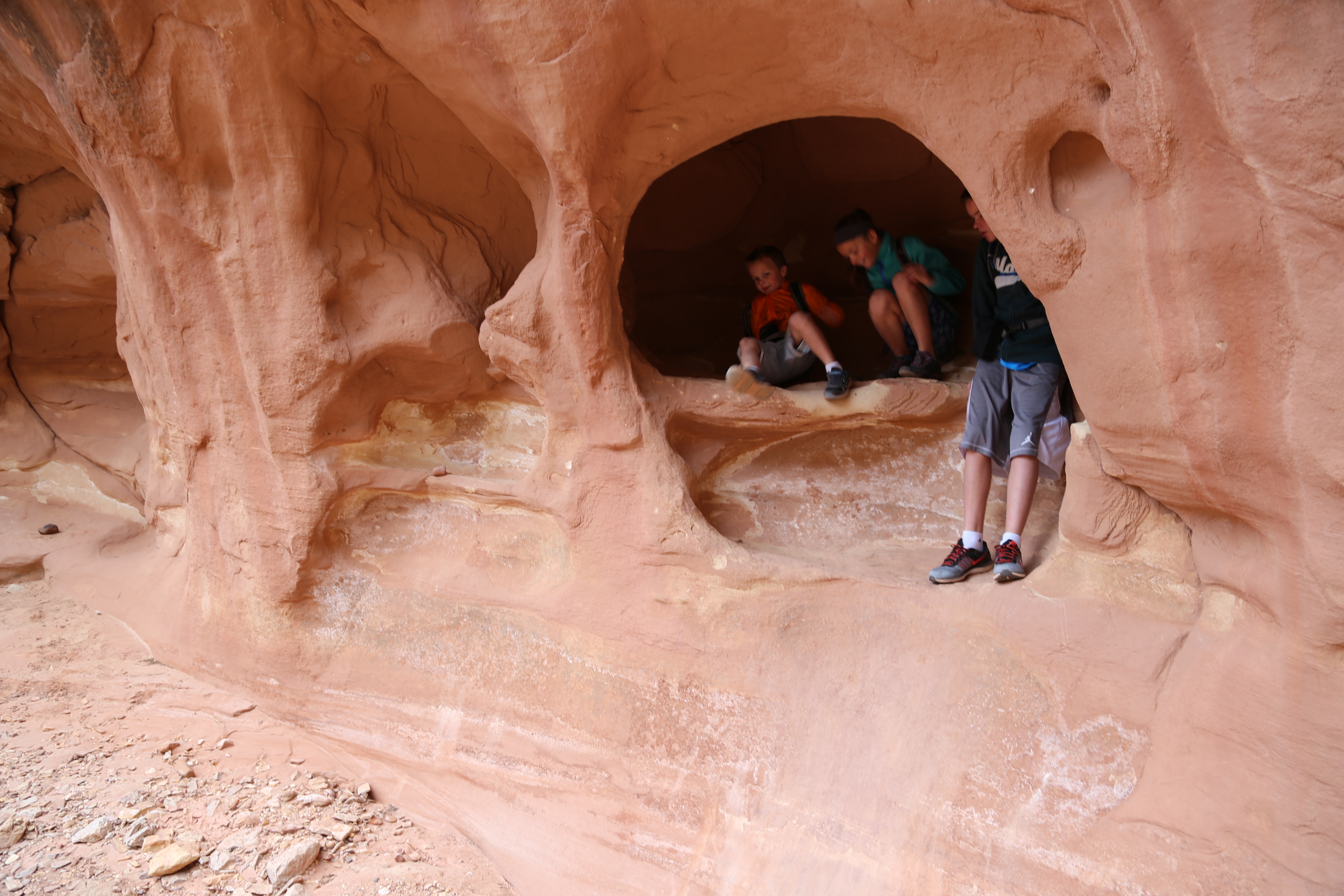 2015 Fall Break - Day 2 - Capitol Reef National Park (Grand Wash Narrows, Capitol Gorge (Petroglyphs, Narrows, Pioneer Register), Waterpocket Fold Drive (Notom-Bullfrog Road, Burr Trail Road), Hell's Backbone Grill (Boulder, Utah))