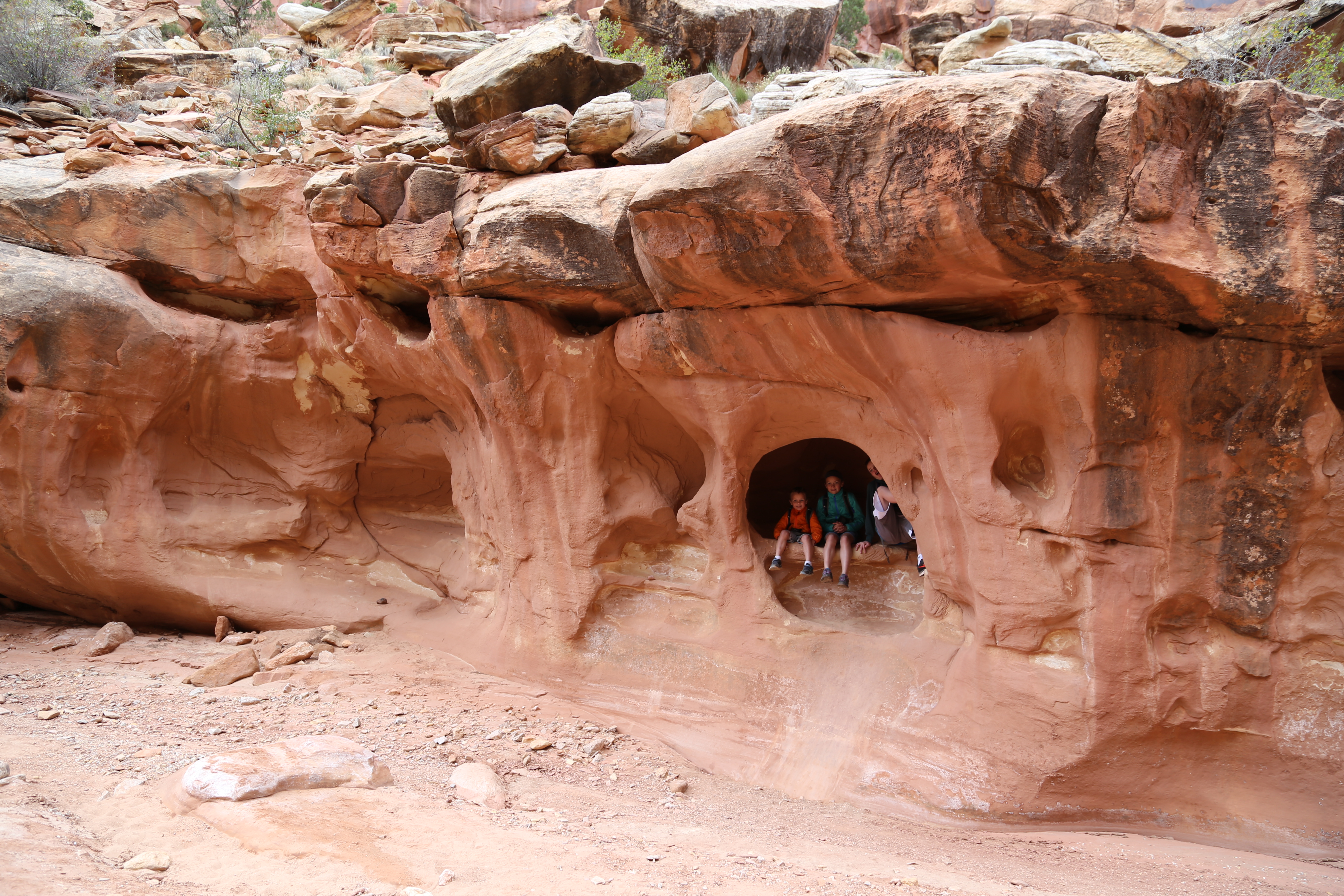 2015 Fall Break - Day 2 - Capitol Reef National Park (Grand Wash Narrows, Capitol Gorge (Petroglyphs, Narrows, Pioneer Register), Waterpocket Fold Drive (Notom-Bullfrog Road, Burr Trail Road), Hell's Backbone Grill (Boulder, Utah))