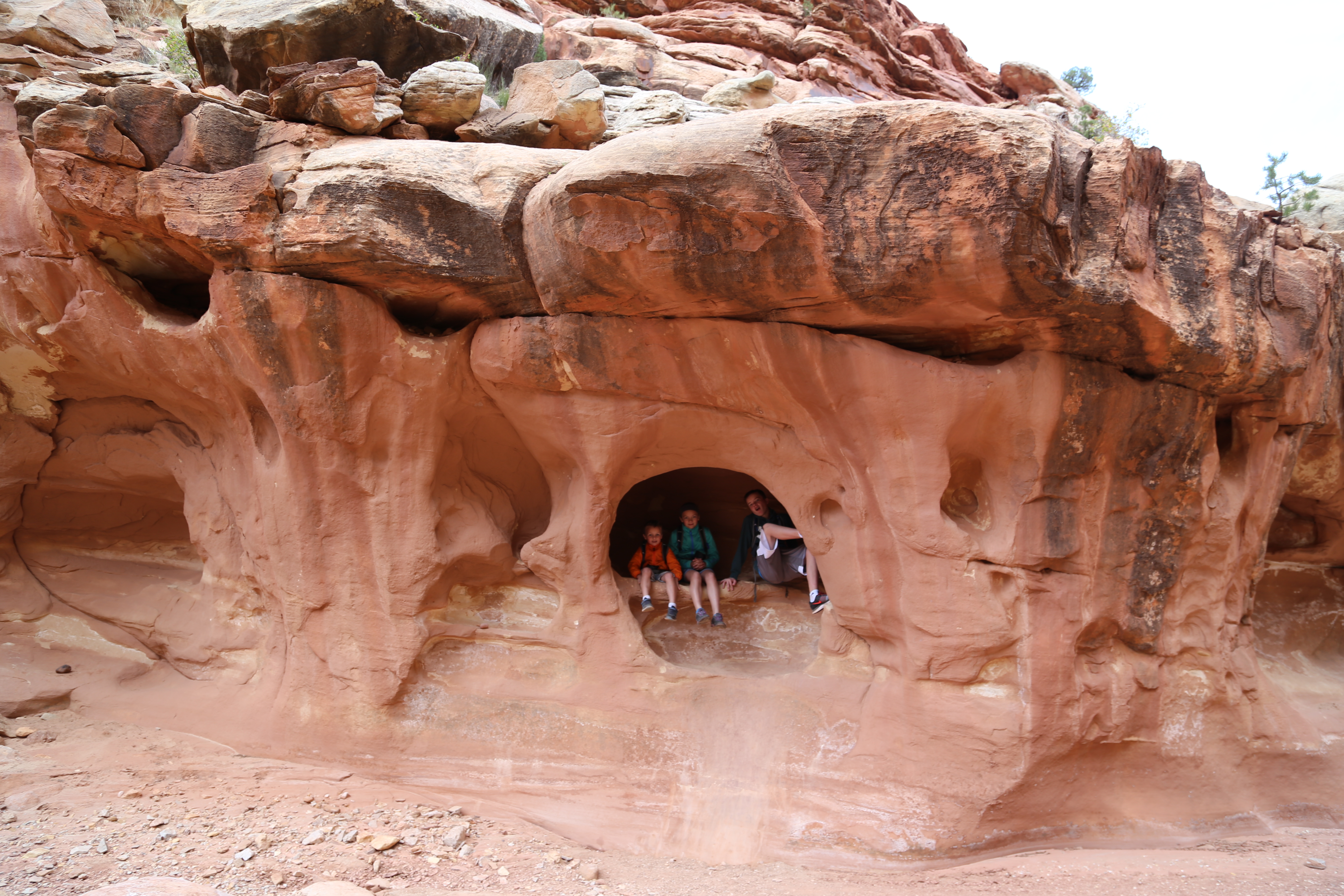 2015 Fall Break - Day 2 - Capitol Reef National Park (Grand Wash Narrows, Capitol Gorge (Petroglyphs, Narrows, Pioneer Register), Waterpocket Fold Drive (Notom-Bullfrog Road, Burr Trail Road), Hell's Backbone Grill (Boulder, Utah))