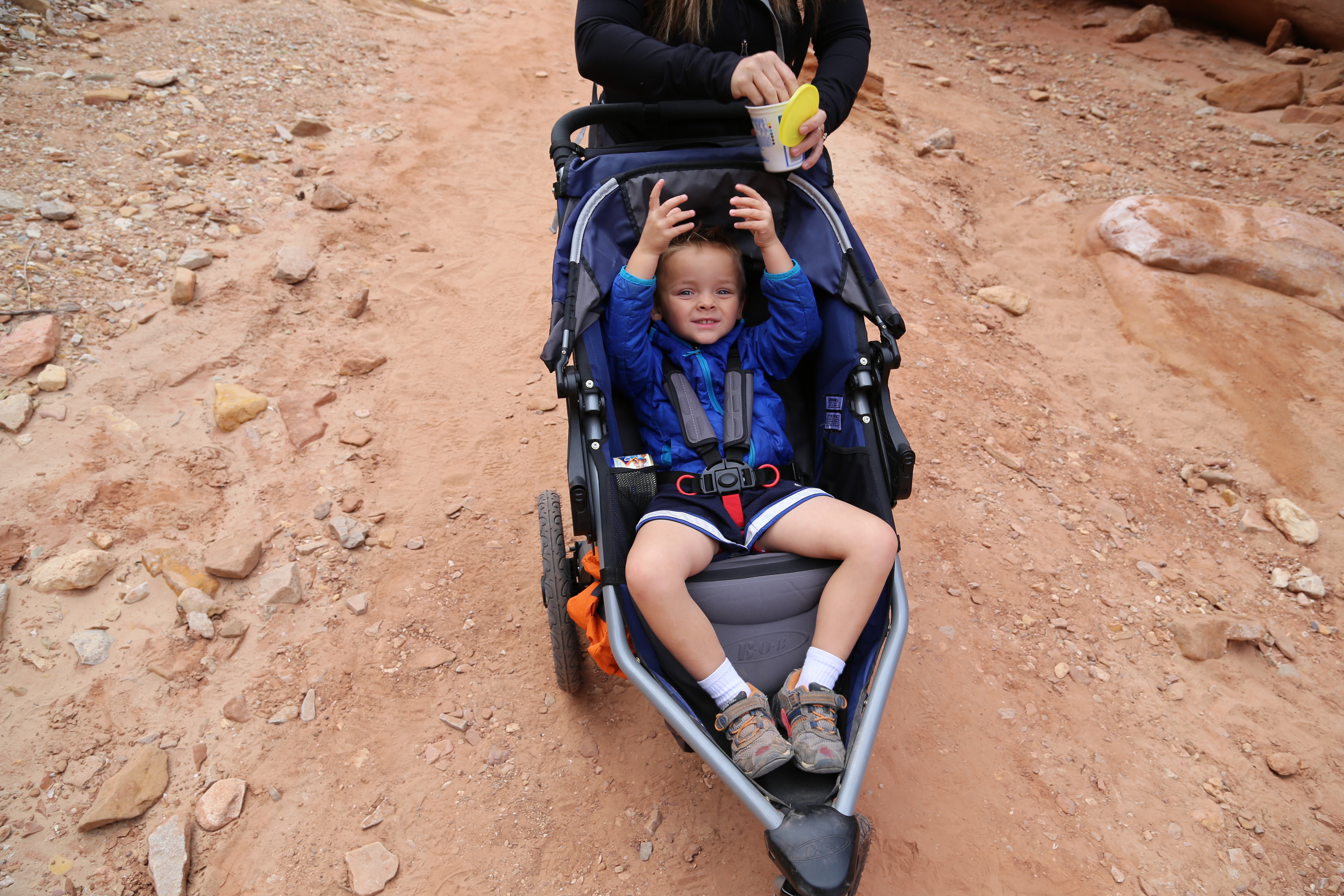 2015 Fall Break - Day 2 - Capitol Reef National Park (Grand Wash Narrows, Capitol Gorge (Petroglyphs, Narrows, Pioneer Register), Waterpocket Fold Drive (Notom-Bullfrog Road, Burr Trail Road), Hell's Backbone Grill (Boulder, Utah))