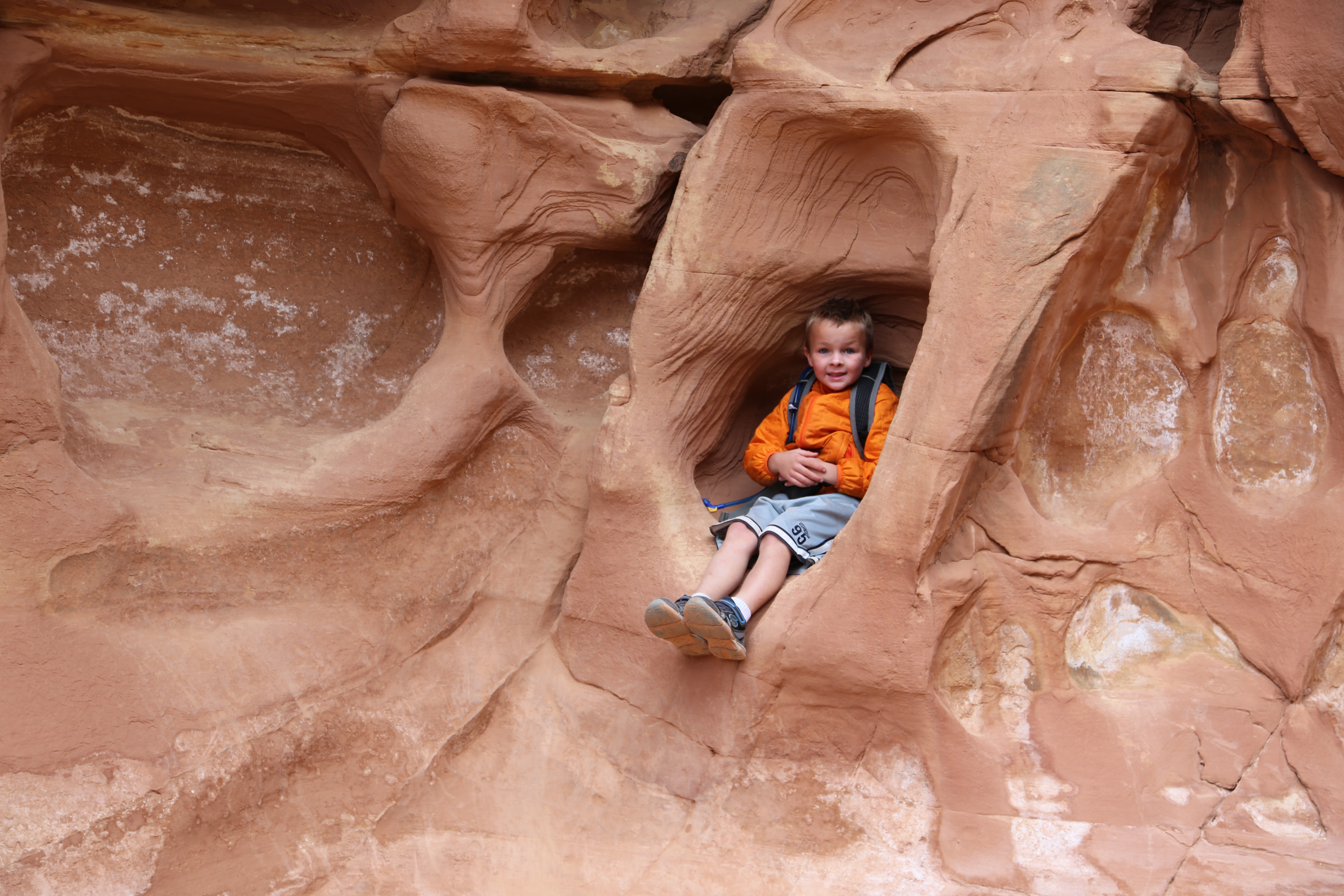 2015 Fall Break - Day 2 - Capitol Reef National Park (Grand Wash Narrows, Capitol Gorge (Petroglyphs, Narrows, Pioneer Register), Waterpocket Fold Drive (Notom-Bullfrog Road, Burr Trail Road), Hell's Backbone Grill (Boulder, Utah))