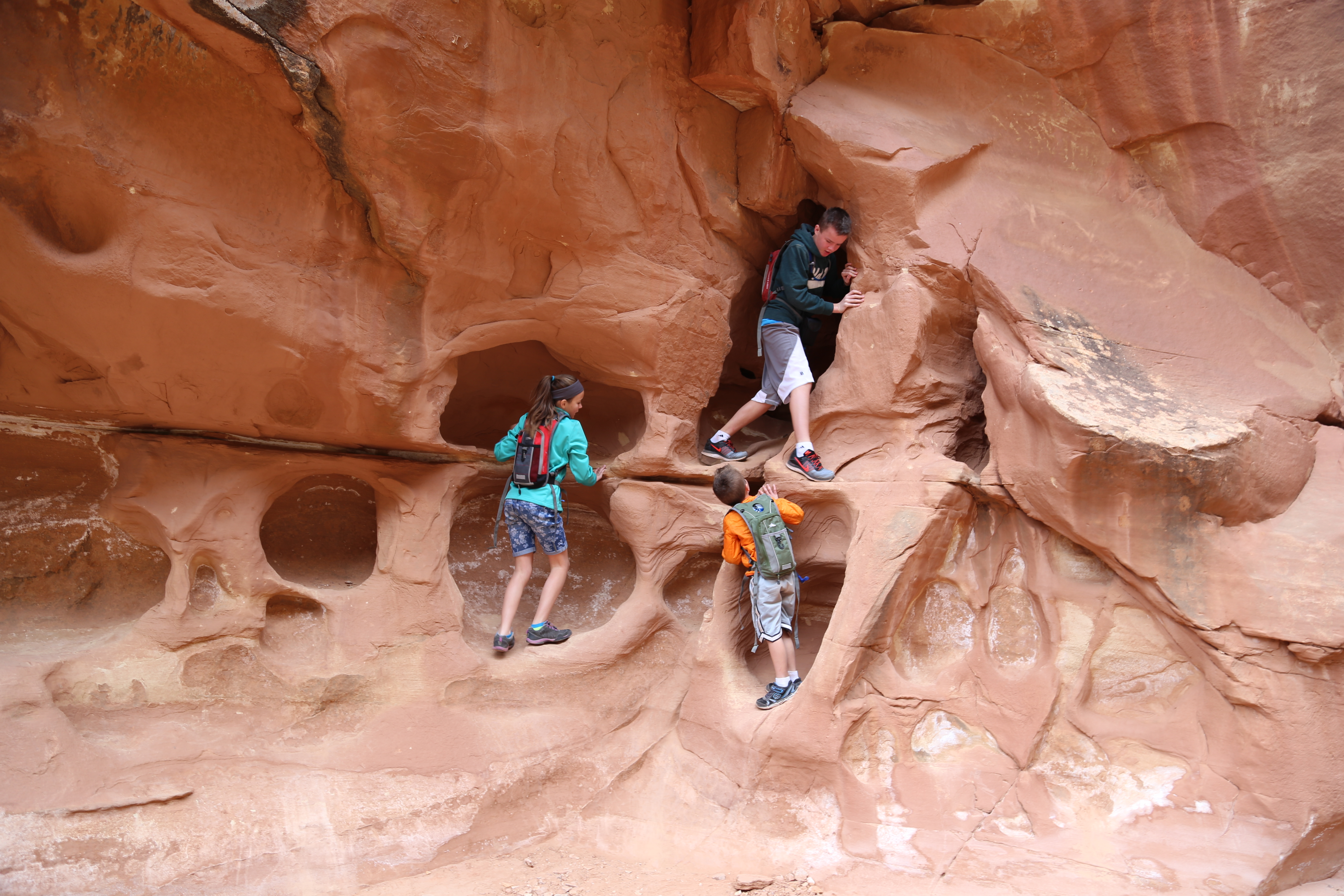 2015 Fall Break - Day 2 - Capitol Reef National Park (Grand Wash Narrows, Capitol Gorge (Petroglyphs, Narrows, Pioneer Register), Waterpocket Fold Drive (Notom-Bullfrog Road, Burr Trail Road), Hell's Backbone Grill (Boulder, Utah))