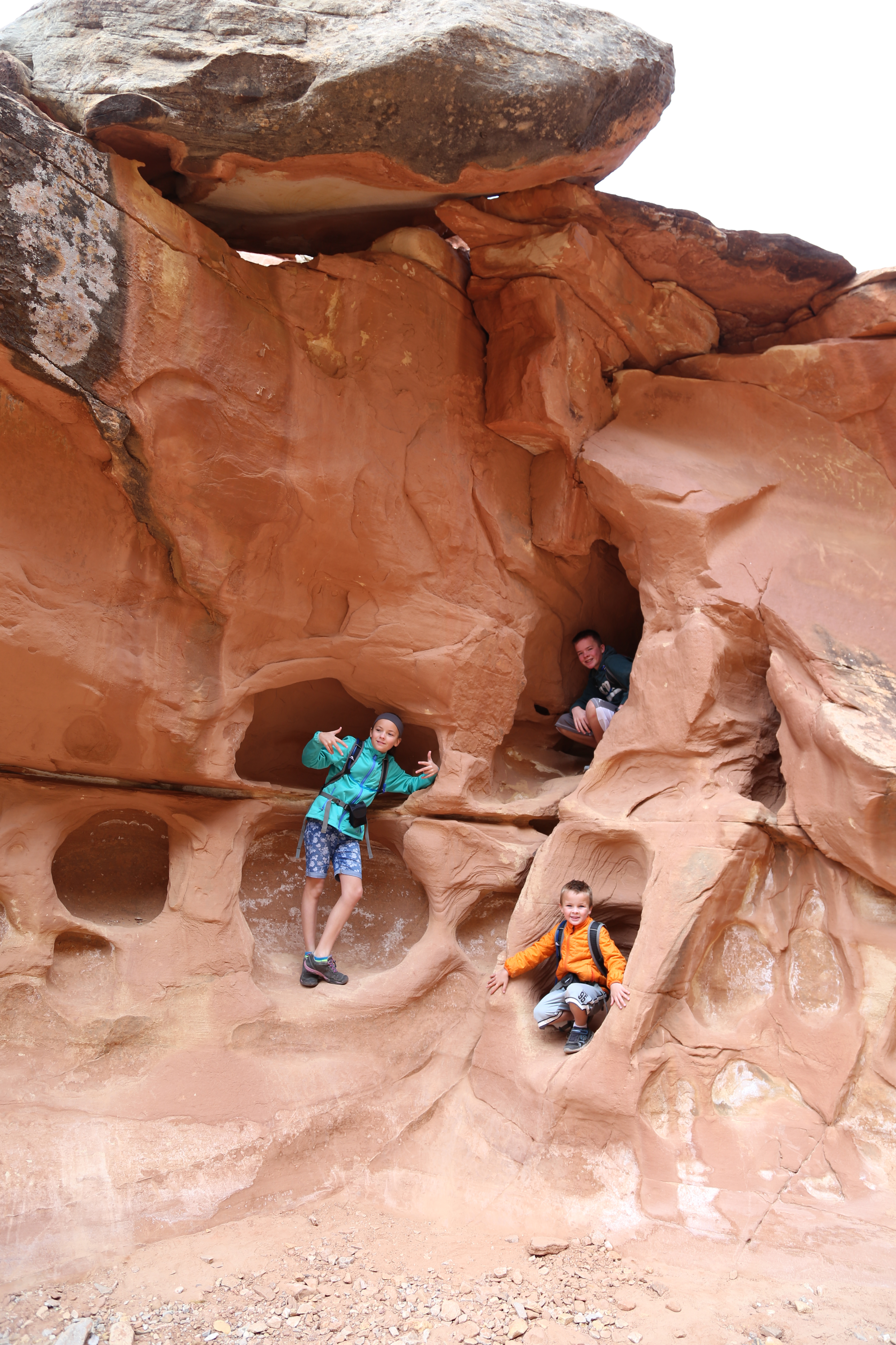 2015 Fall Break - Day 2 - Capitol Reef National Park (Grand Wash Narrows, Capitol Gorge (Petroglyphs, Narrows, Pioneer Register), Waterpocket Fold Drive (Notom-Bullfrog Road, Burr Trail Road), Hell's Backbone Grill (Boulder, Utah))