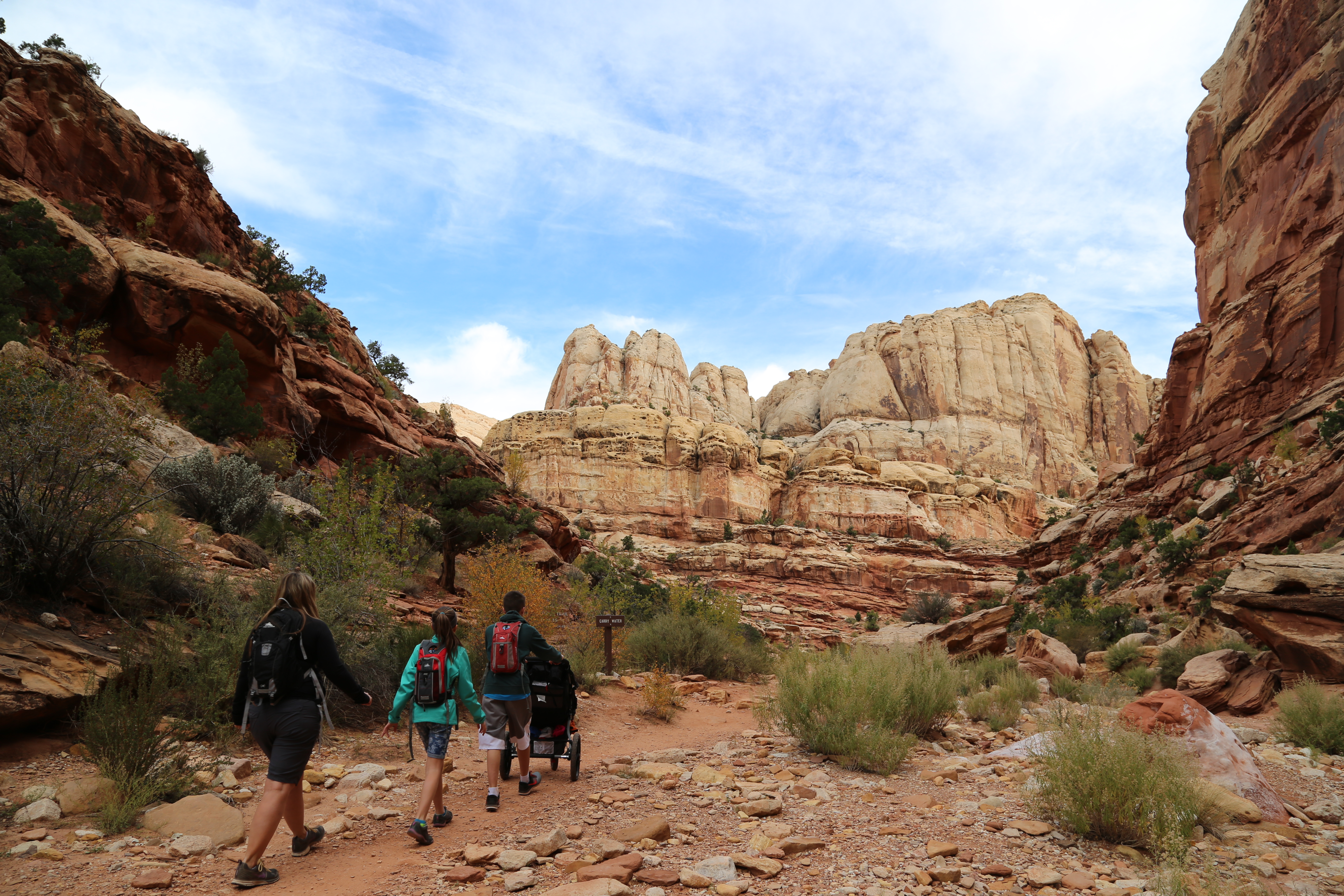 2015 Fall Break - Day 2 - Capitol Reef National Park (Grand Wash Narrows, Capitol Gorge (Petroglyphs, Narrows, Pioneer Register), Waterpocket Fold Drive (Notom-Bullfrog Road, Burr Trail Road), Hell's Backbone Grill (Boulder, Utah))