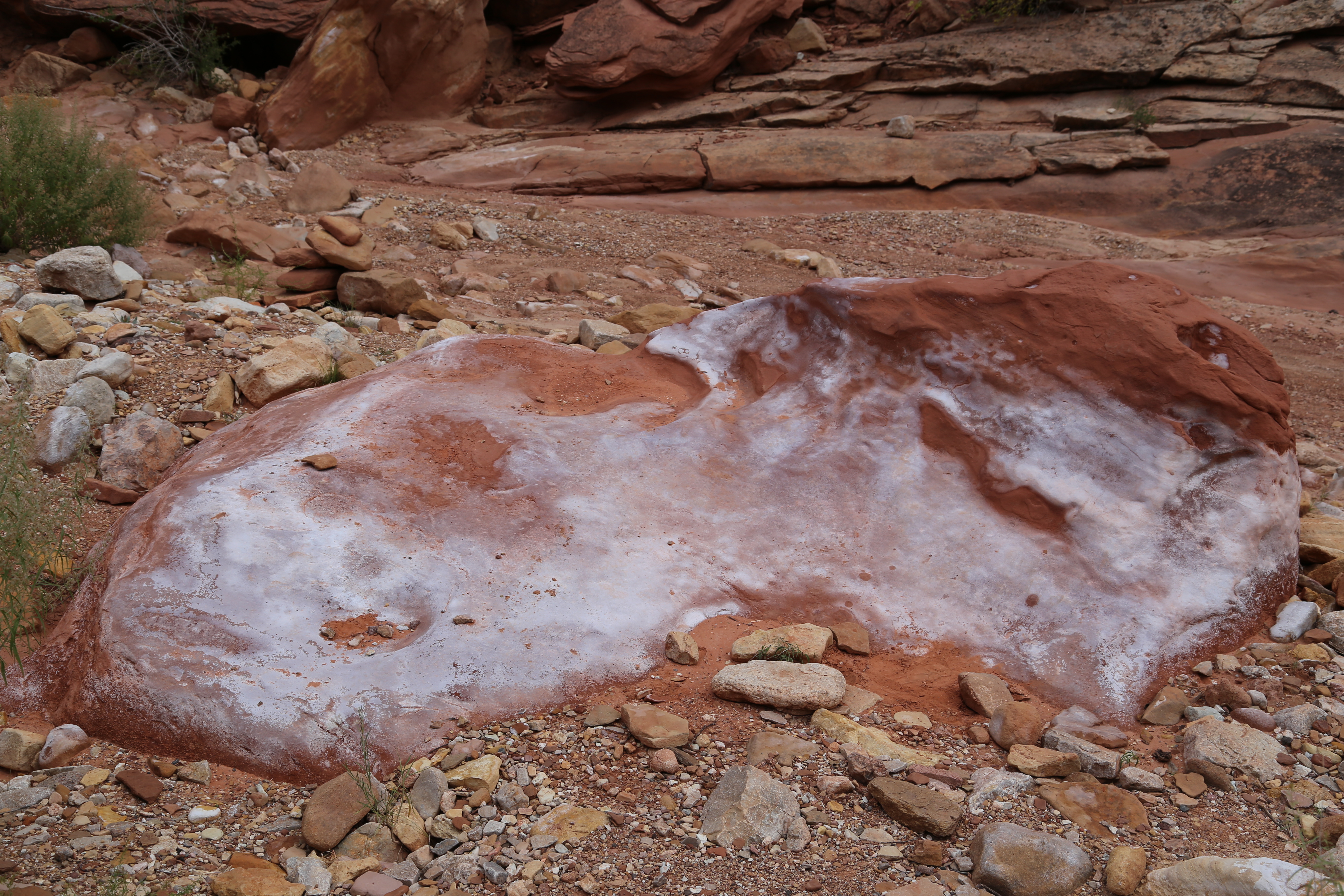 2015 Fall Break - Day 2 - Capitol Reef National Park (Grand Wash Narrows, Capitol Gorge (Petroglyphs, Narrows, Pioneer Register), Waterpocket Fold Drive (Notom-Bullfrog Road, Burr Trail Road), Hell's Backbone Grill (Boulder, Utah))