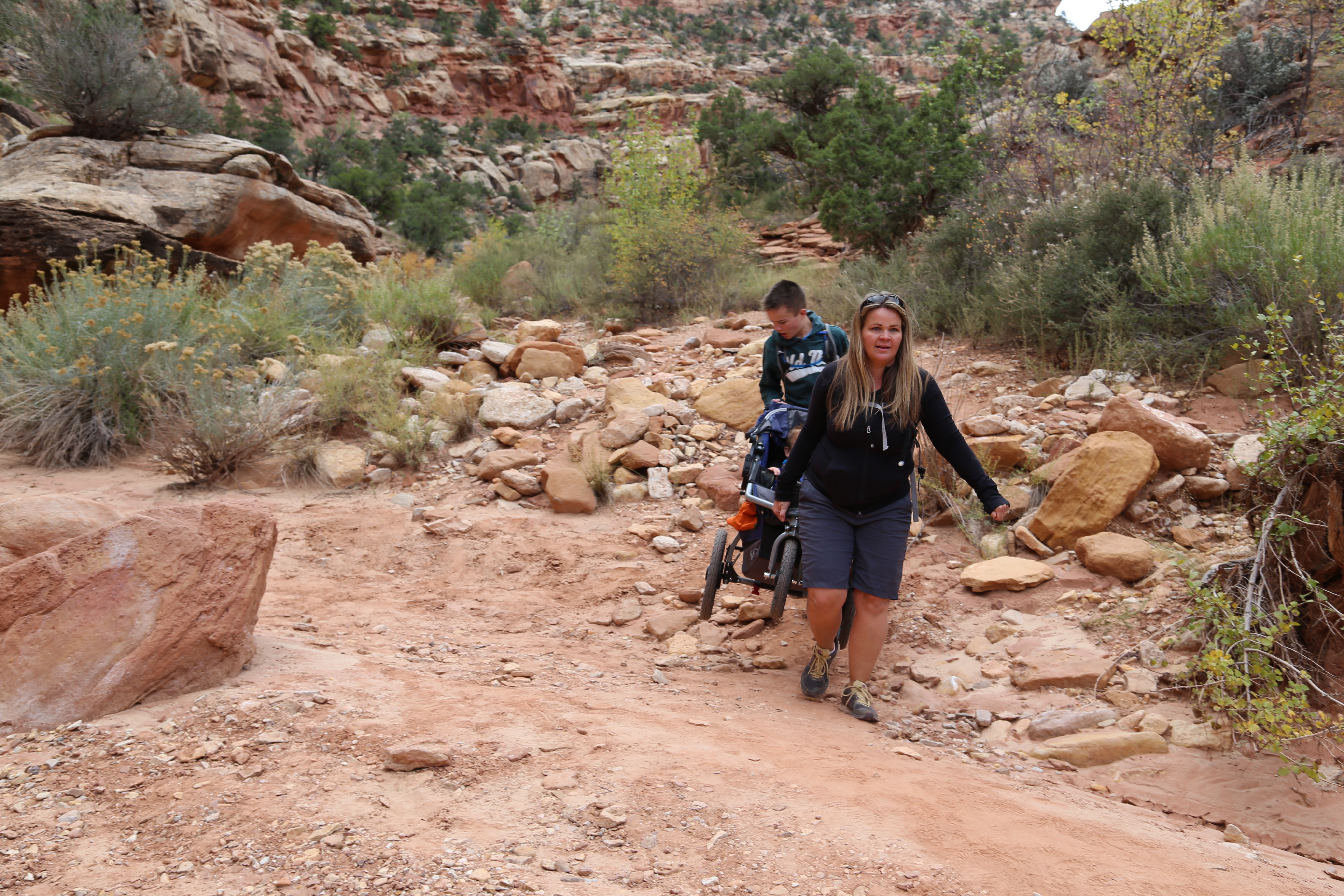 2015 Fall Break - Day 2 - Capitol Reef National Park (Grand Wash Narrows, Capitol Gorge (Petroglyphs, Narrows, Pioneer Register), Waterpocket Fold Drive (Notom-Bullfrog Road, Burr Trail Road), Hell's Backbone Grill (Boulder, Utah))