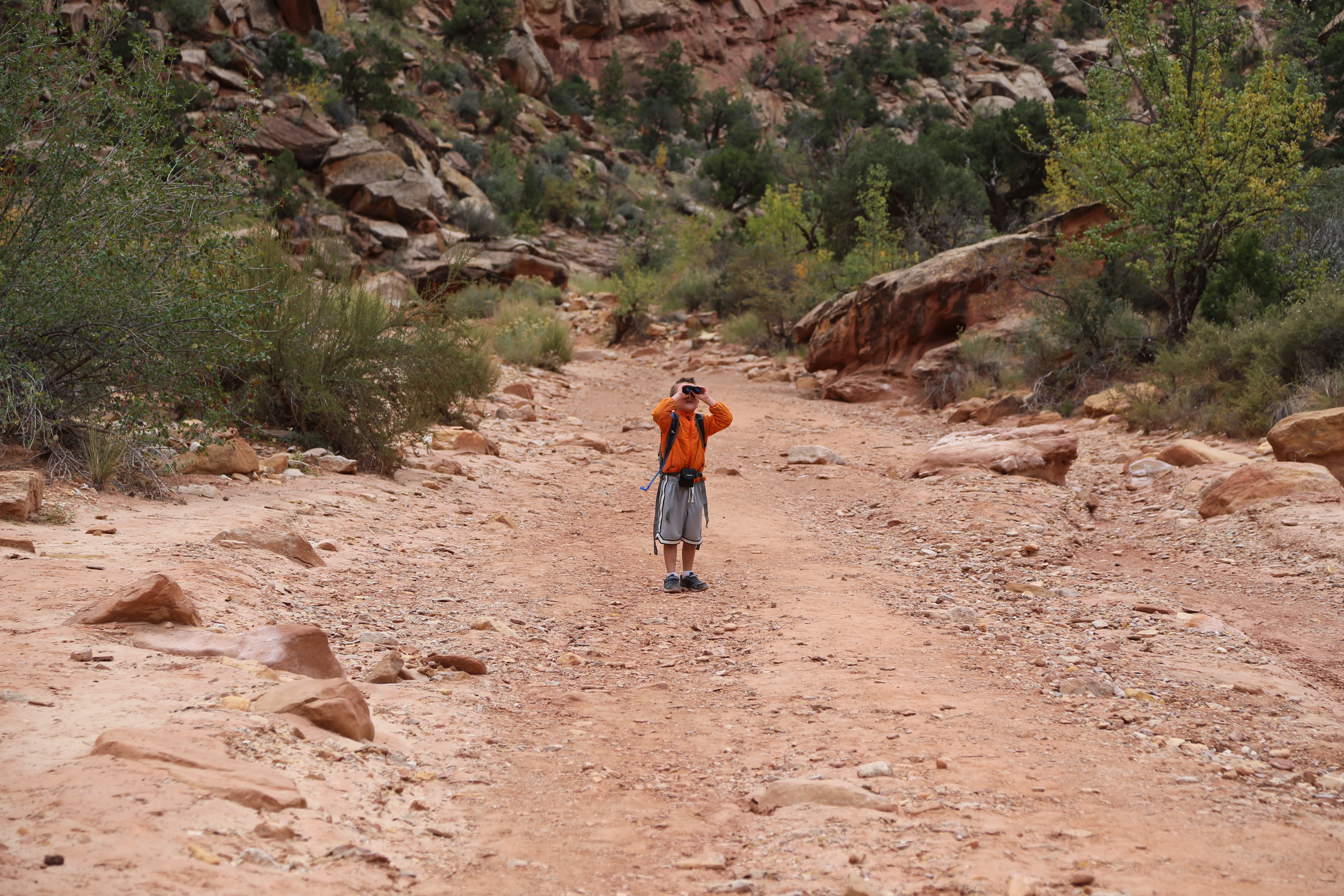 2015 Fall Break - Day 2 - Capitol Reef National Park (Grand Wash Narrows, Capitol Gorge (Petroglyphs, Narrows, Pioneer Register), Waterpocket Fold Drive (Notom-Bullfrog Road, Burr Trail Road), Hell's Backbone Grill (Boulder, Utah))