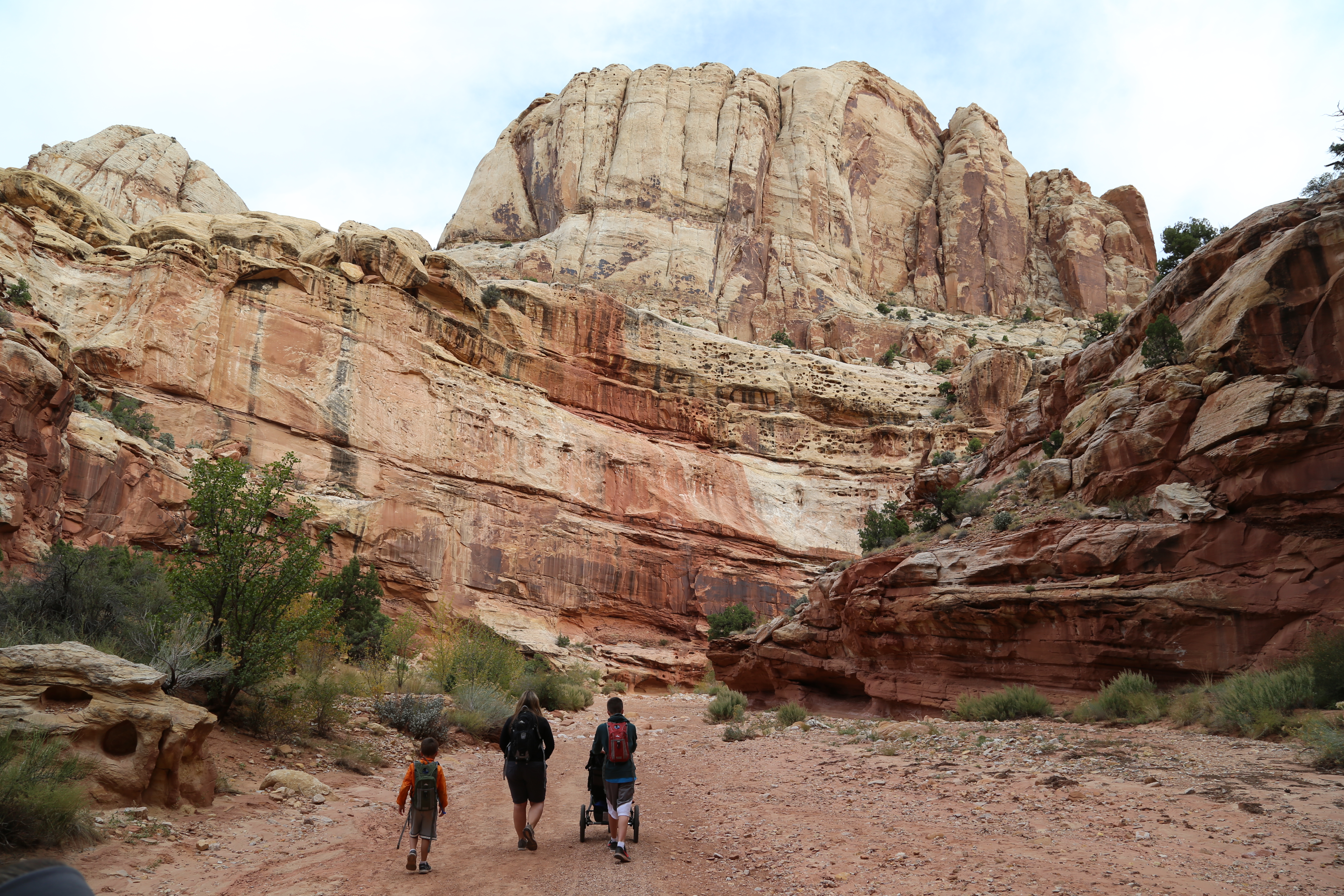 2015 Fall Break - Day 2 - Capitol Reef National Park (Grand Wash Narrows, Capitol Gorge (Petroglyphs, Narrows, Pioneer Register), Waterpocket Fold Drive (Notom-Bullfrog Road, Burr Trail Road), Hell's Backbone Grill (Boulder, Utah))