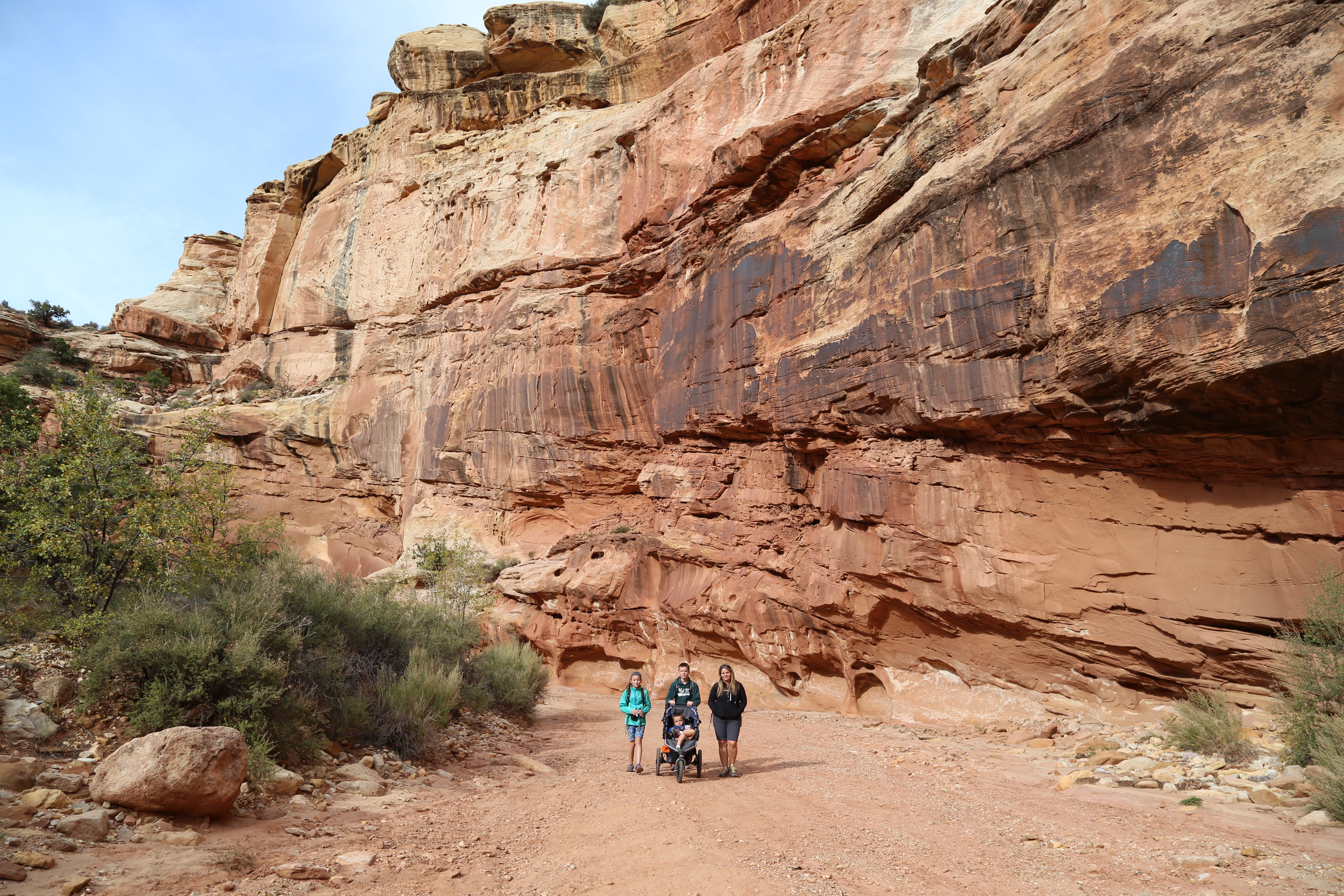 2015 Fall Break - Day 2 - Capitol Reef National Park (Grand Wash Narrows, Capitol Gorge (Petroglyphs, Narrows, Pioneer Register), Waterpocket Fold Drive (Notom-Bullfrog Road, Burr Trail Road), Hell's Backbone Grill (Boulder, Utah))