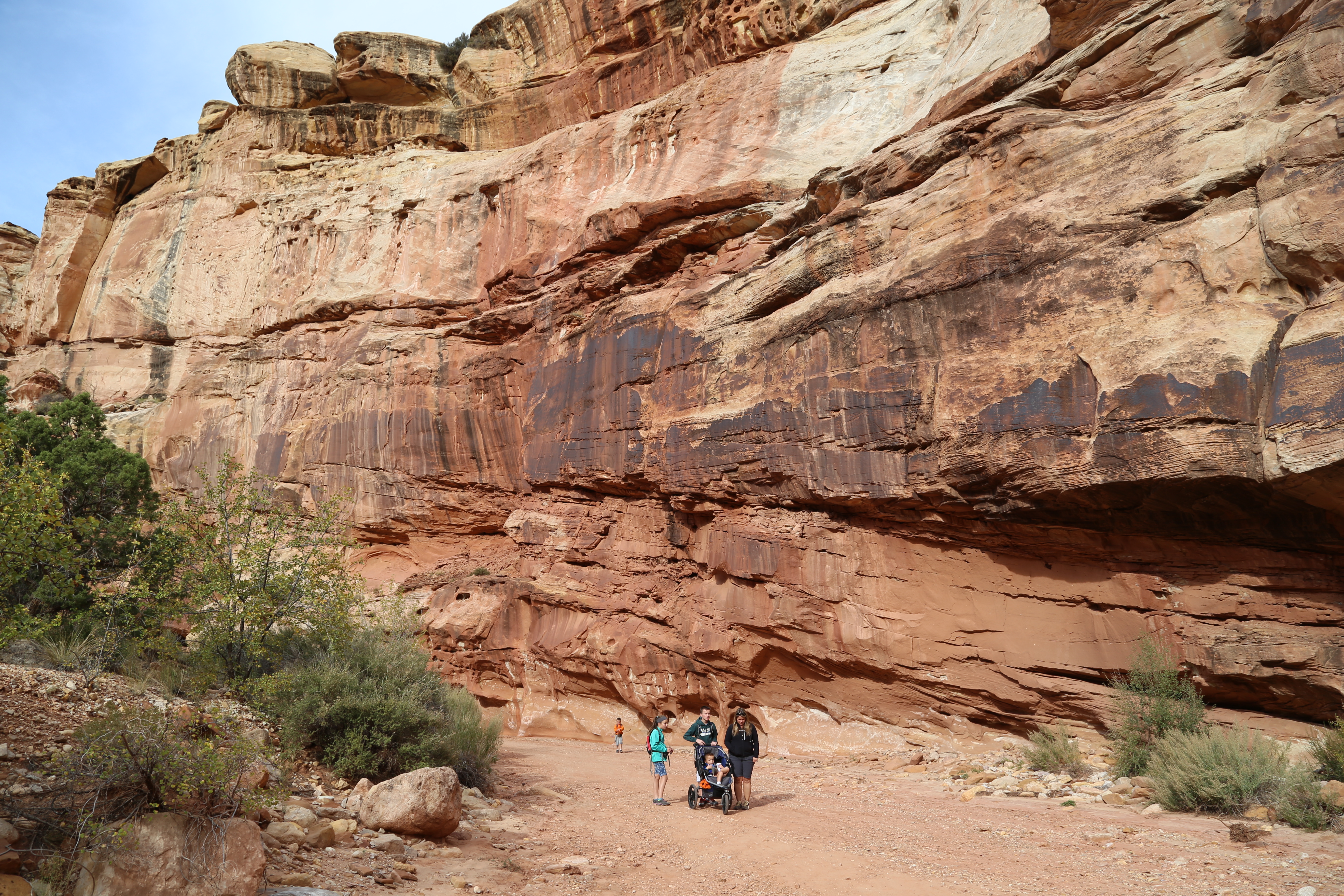 2015 Fall Break - Day 2 - Capitol Reef National Park (Grand Wash Narrows, Capitol Gorge (Petroglyphs, Narrows, Pioneer Register), Waterpocket Fold Drive (Notom-Bullfrog Road, Burr Trail Road), Hell's Backbone Grill (Boulder, Utah))