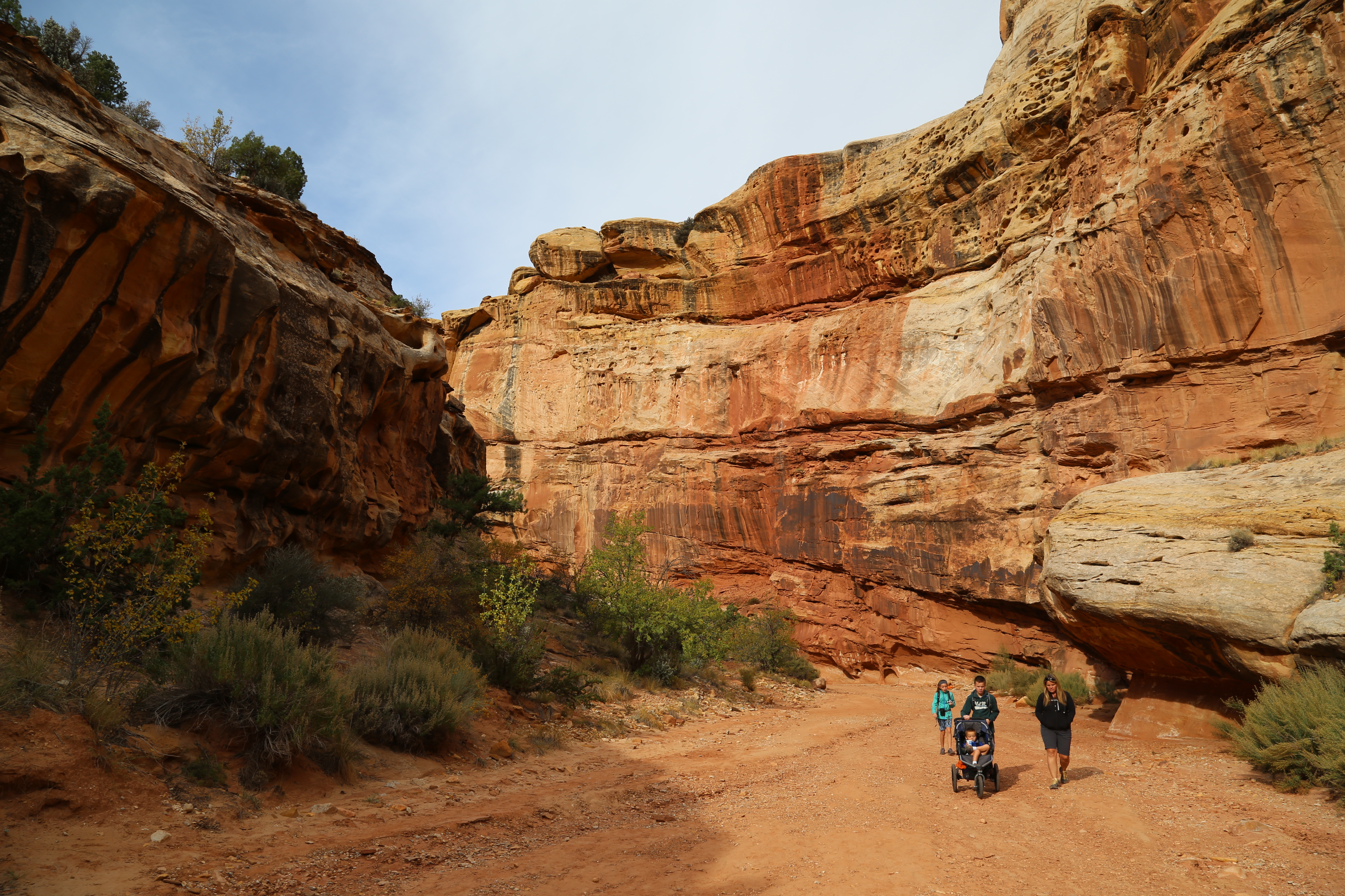 2015 Fall Break - Day 2 - Capitol Reef National Park (Grand Wash Narrows, Capitol Gorge (Petroglyphs, Narrows, Pioneer Register), Waterpocket Fold Drive (Notom-Bullfrog Road, Burr Trail Road), Hell's Backbone Grill (Boulder, Utah))