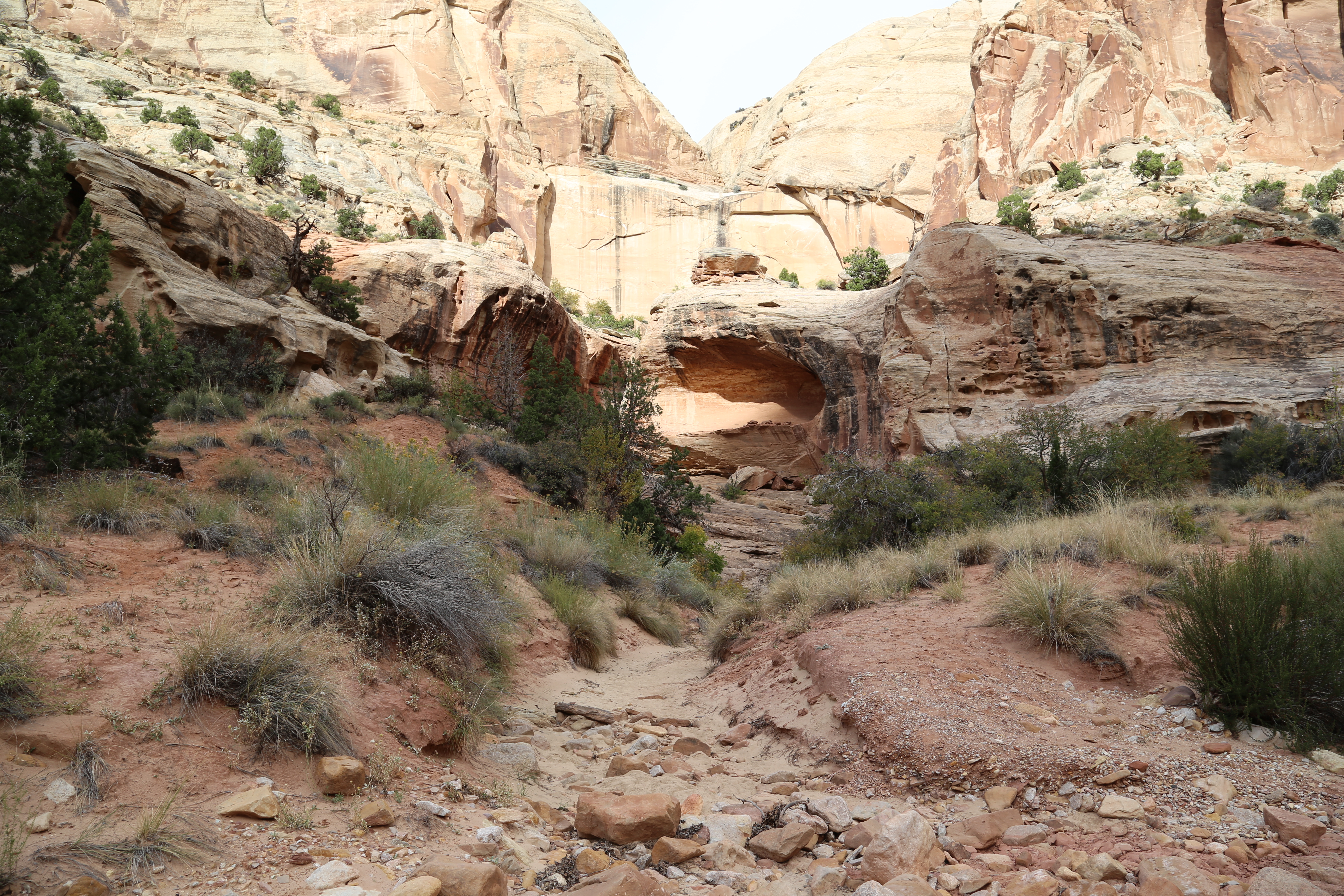 2015 Fall Break - Day 2 - Capitol Reef National Park (Grand Wash Narrows, Capitol Gorge (Petroglyphs, Narrows, Pioneer Register), Waterpocket Fold Drive (Notom-Bullfrog Road, Burr Trail Road), Hell's Backbone Grill (Boulder, Utah))