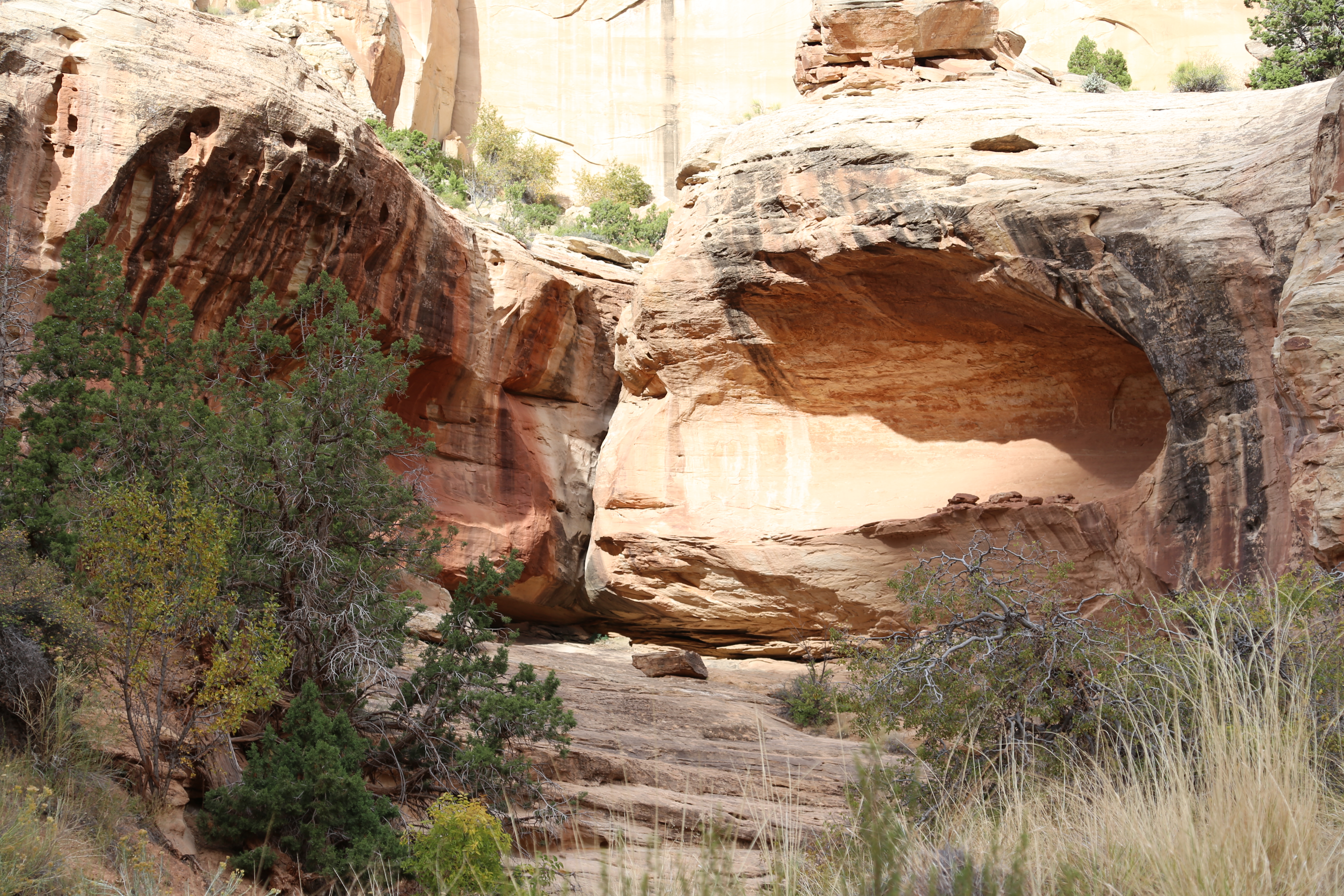 2015 Fall Break - Day 2 - Capitol Reef National Park (Grand Wash Narrows, Capitol Gorge (Petroglyphs, Narrows, Pioneer Register), Waterpocket Fold Drive (Notom-Bullfrog Road, Burr Trail Road), Hell's Backbone Grill (Boulder, Utah))