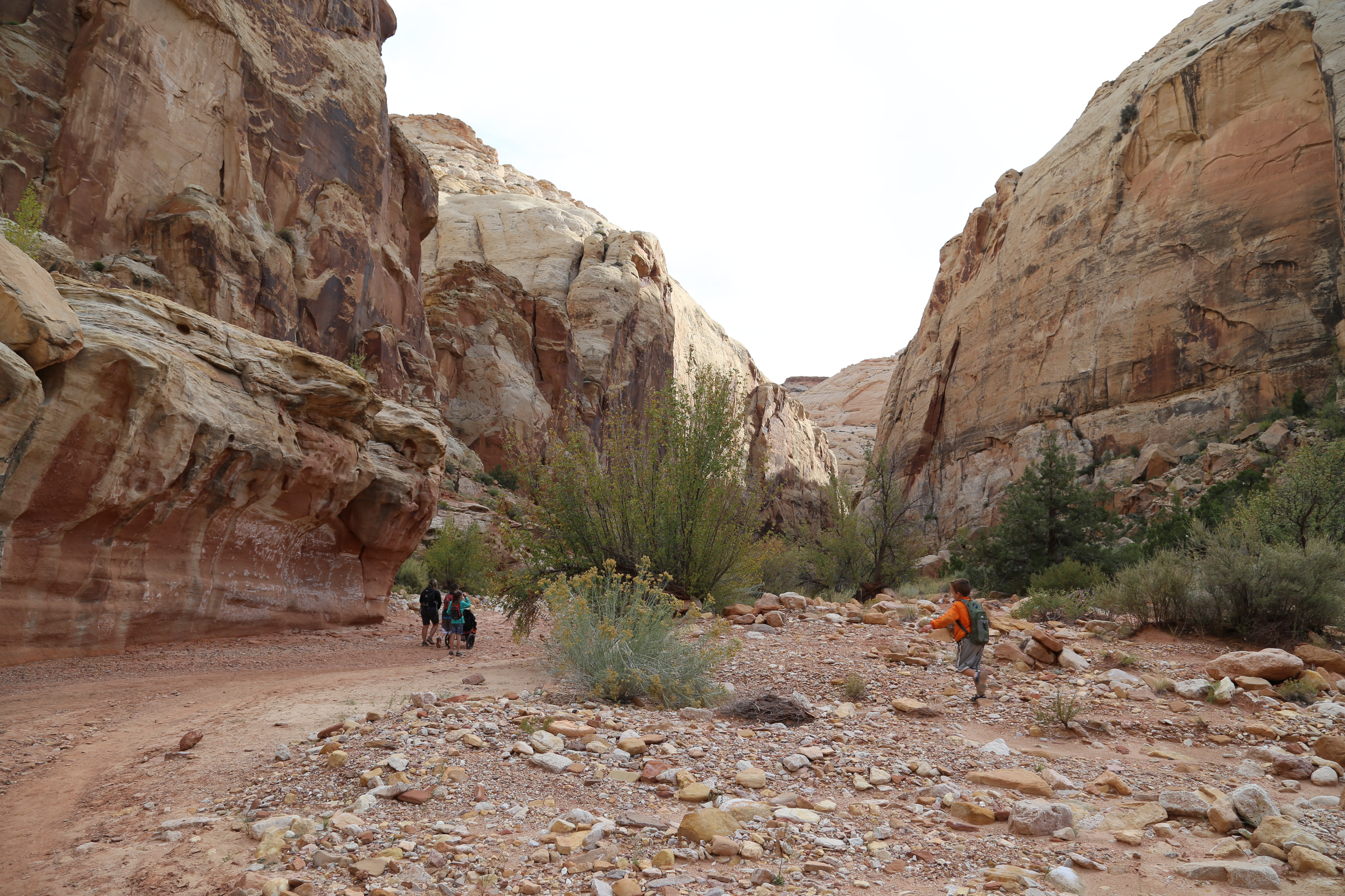 2015 Fall Break - Day 2 - Capitol Reef National Park (Grand Wash Narrows, Capitol Gorge (Petroglyphs, Narrows, Pioneer Register), Waterpocket Fold Drive (Notom-Bullfrog Road, Burr Trail Road), Hell's Backbone Grill (Boulder, Utah))