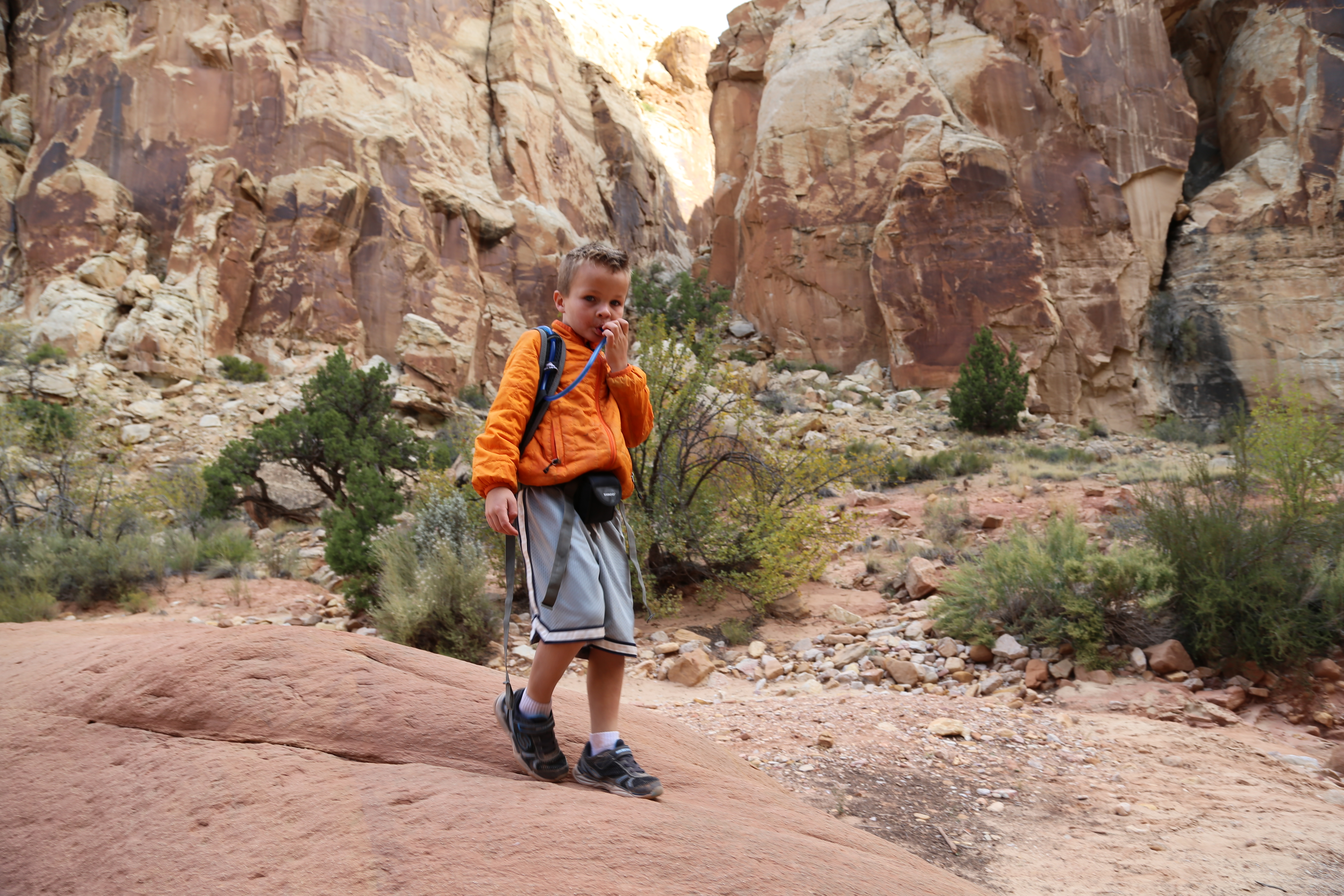 2015 Fall Break - Day 2 - Capitol Reef National Park (Grand Wash Narrows, Capitol Gorge (Petroglyphs, Narrows, Pioneer Register), Waterpocket Fold Drive (Notom-Bullfrog Road, Burr Trail Road), Hell's Backbone Grill (Boulder, Utah))