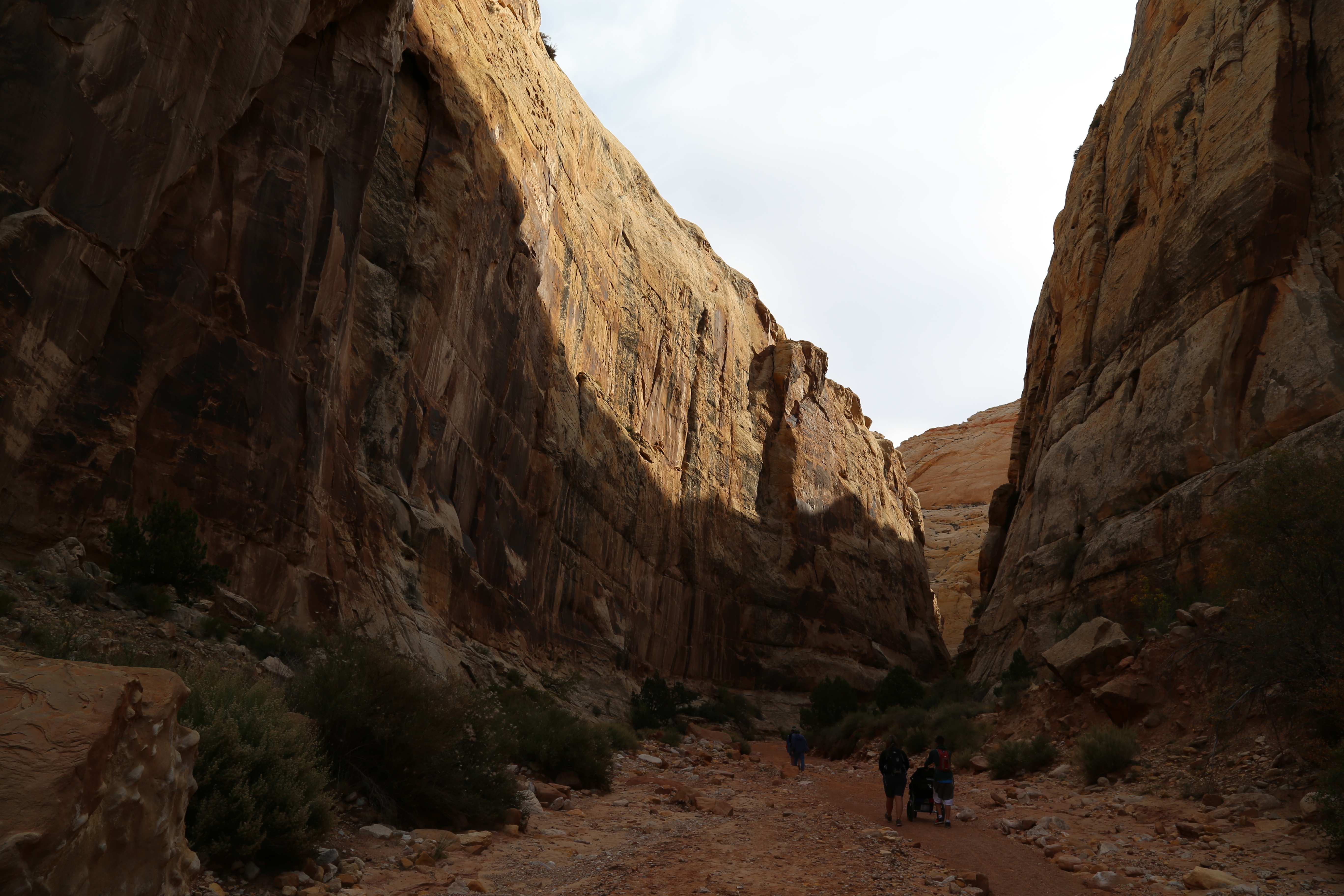 2015 Fall Break - Day 2 - Capitol Reef National Park (Grand Wash Narrows, Capitol Gorge (Petroglyphs, Narrows, Pioneer Register), Waterpocket Fold Drive (Notom-Bullfrog Road, Burr Trail Road), Hell's Backbone Grill (Boulder, Utah))