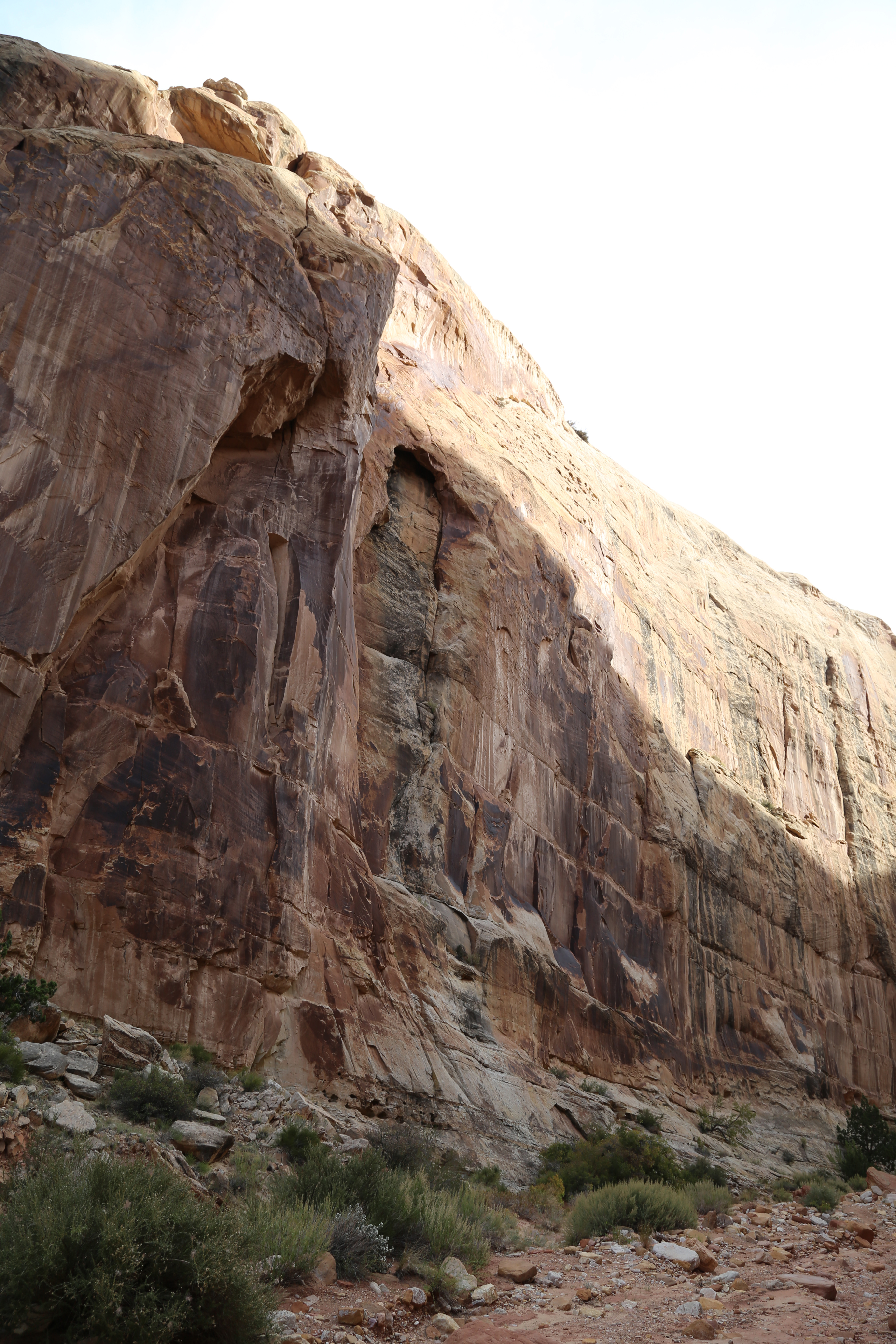 2015 Fall Break - Day 2 - Capitol Reef National Park (Grand Wash Narrows, Capitol Gorge (Petroglyphs, Narrows, Pioneer Register), Waterpocket Fold Drive (Notom-Bullfrog Road, Burr Trail Road), Hell's Backbone Grill (Boulder, Utah))