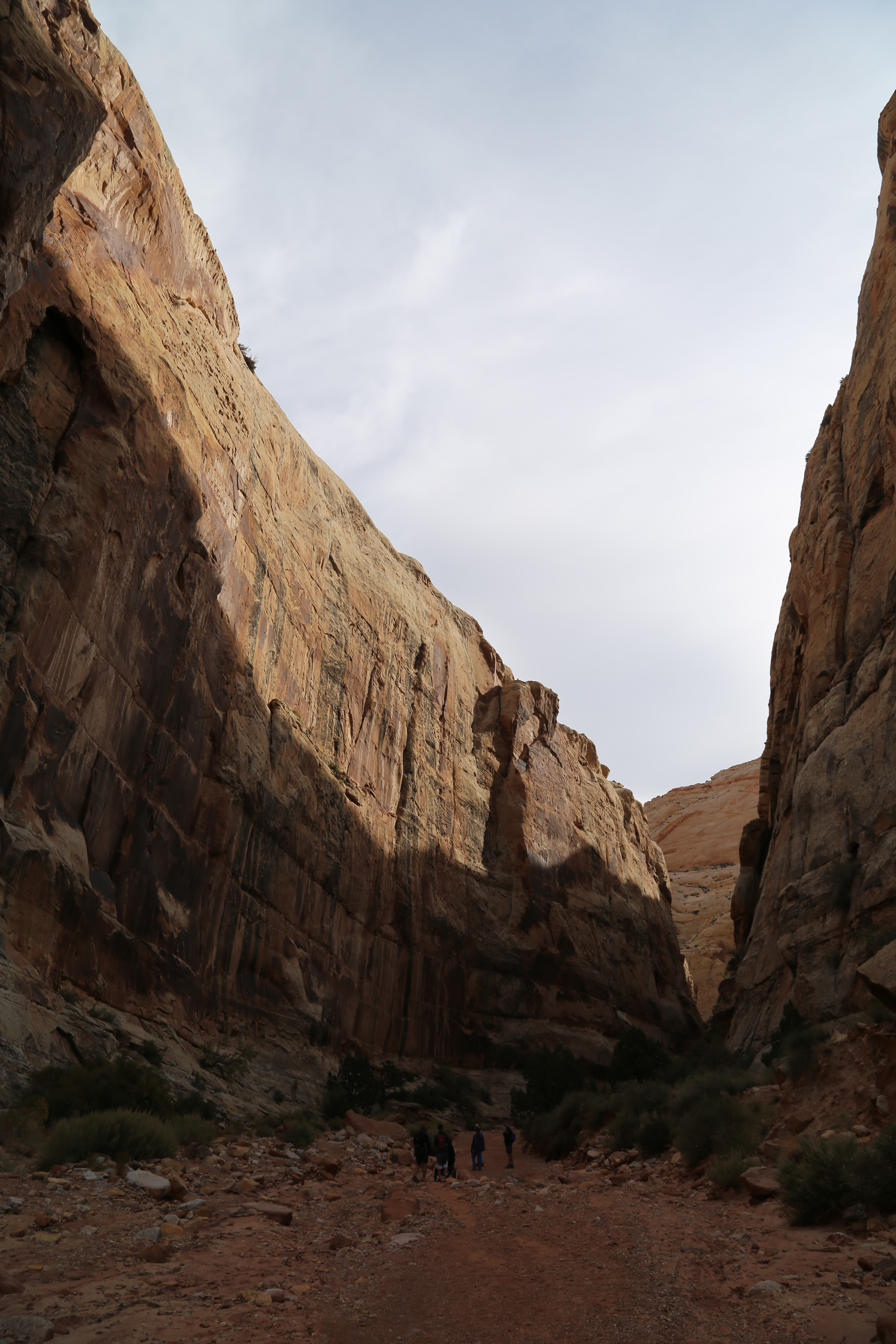 2015 Fall Break - Day 2 - Capitol Reef National Park (Grand Wash Narrows, Capitol Gorge (Petroglyphs, Narrows, Pioneer Register), Waterpocket Fold Drive (Notom-Bullfrog Road, Burr Trail Road), Hell's Backbone Grill (Boulder, Utah))