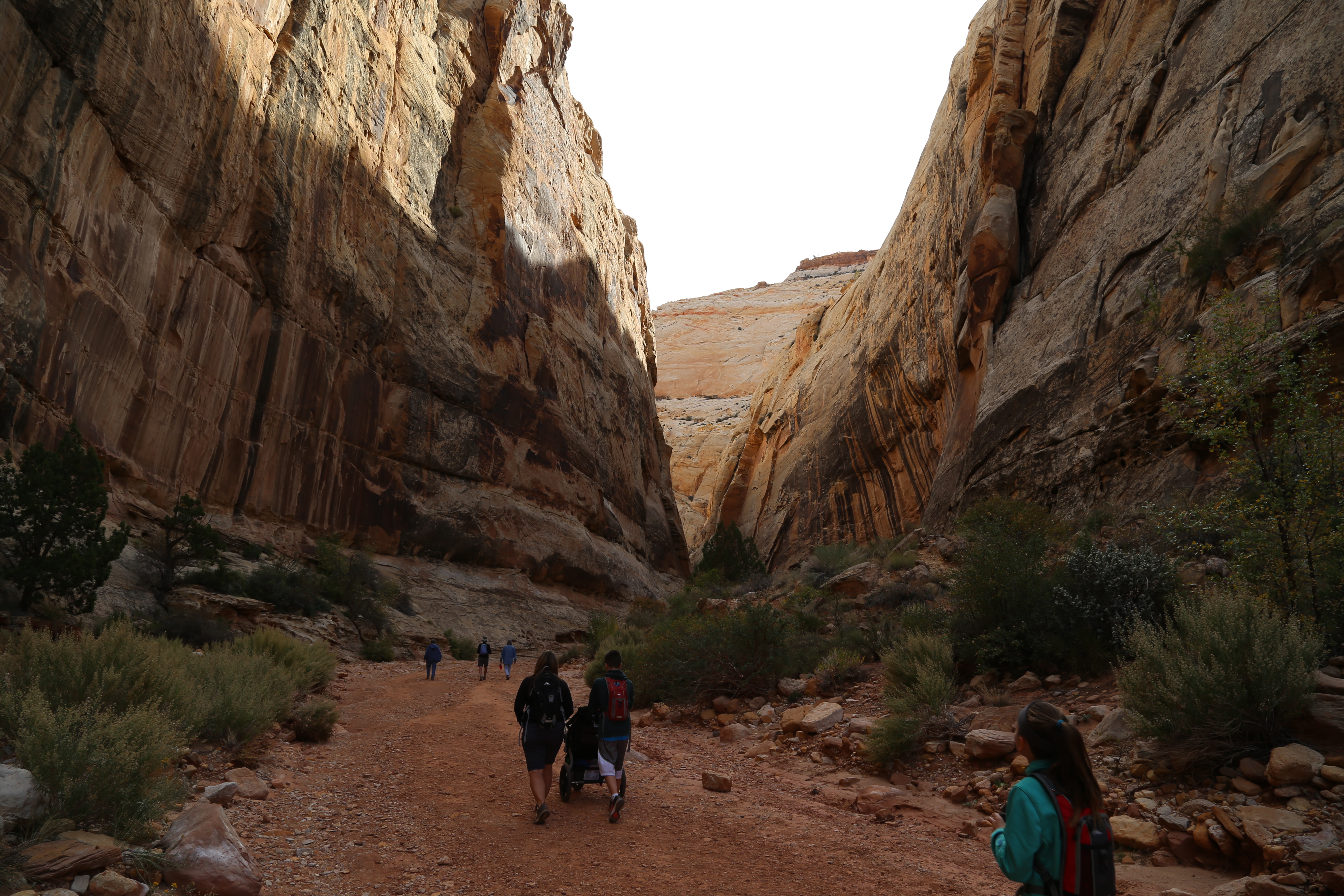 2015 Fall Break - Day 2 - Capitol Reef National Park (Grand Wash Narrows, Capitol Gorge (Petroglyphs, Narrows, Pioneer Register), Waterpocket Fold Drive (Notom-Bullfrog Road, Burr Trail Road), Hell's Backbone Grill (Boulder, Utah))