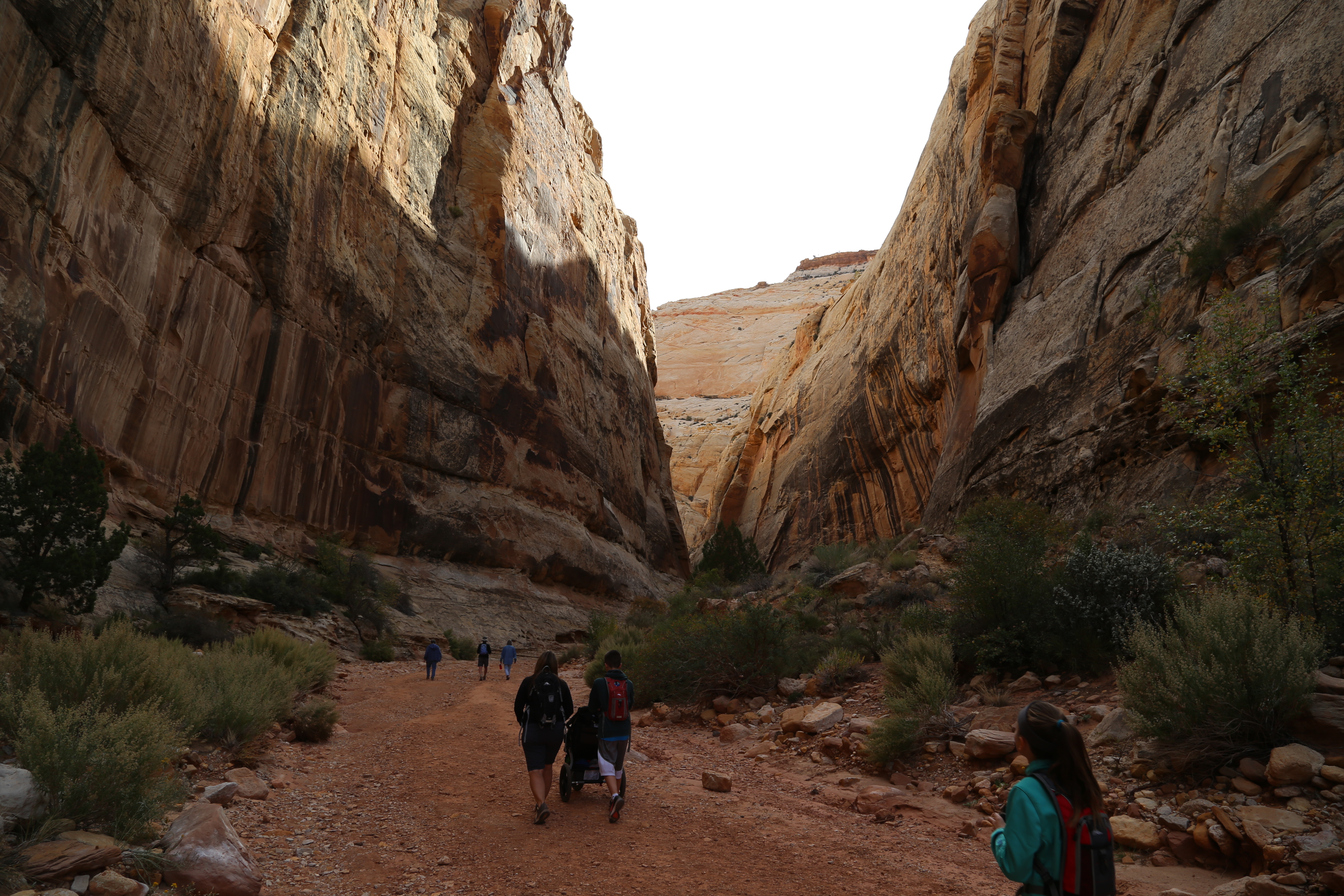 2015 Fall Break - Day 2 - Capitol Reef National Park (Grand Wash Narrows, Capitol Gorge (Petroglyphs, Narrows, Pioneer Register), Waterpocket Fold Drive (Notom-Bullfrog Road, Burr Trail Road), Hell's Backbone Grill (Boulder, Utah))