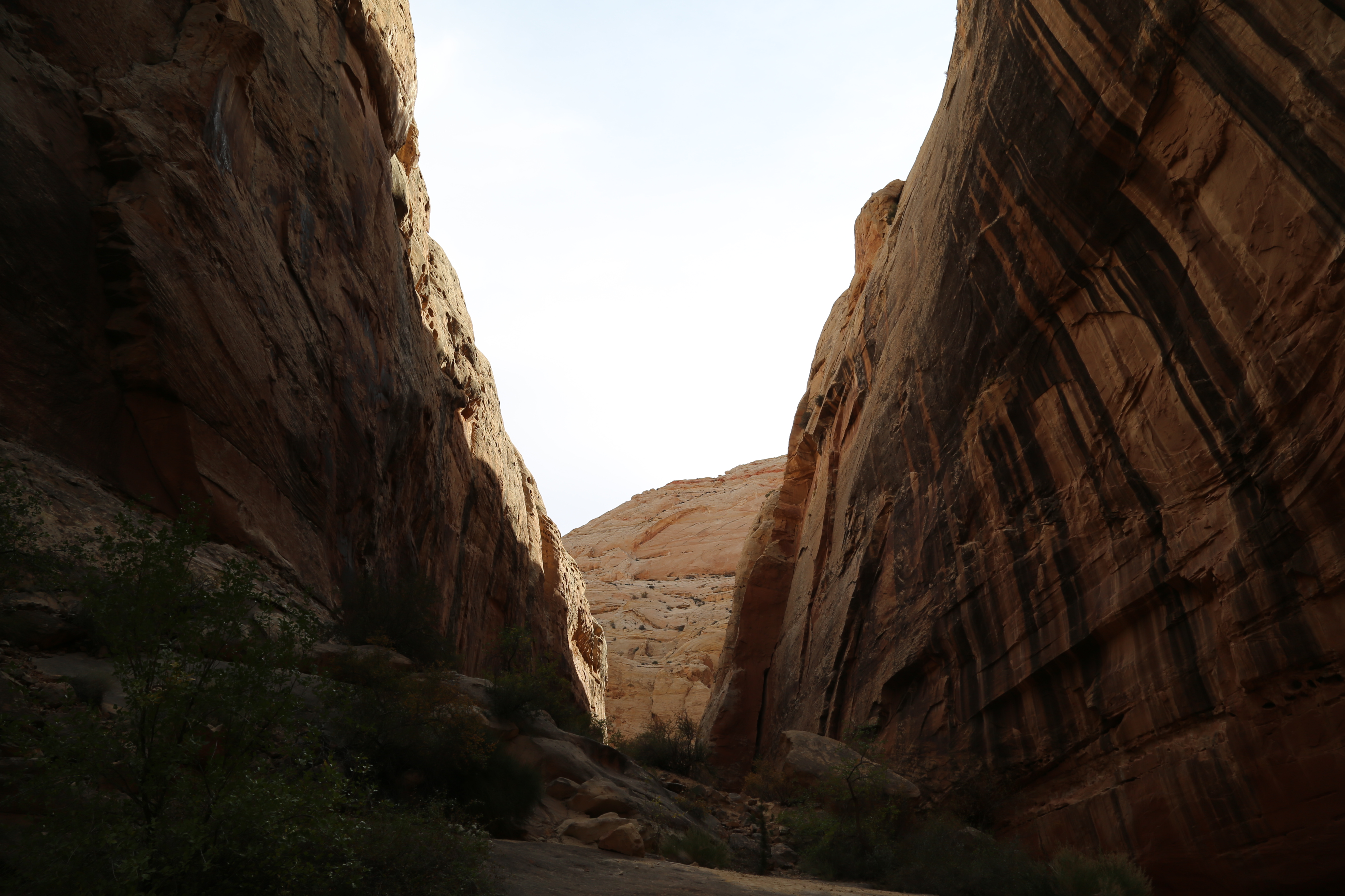 2015 Fall Break - Day 2 - Capitol Reef National Park (Grand Wash Narrows, Capitol Gorge (Petroglyphs, Narrows, Pioneer Register), Waterpocket Fold Drive (Notom-Bullfrog Road, Burr Trail Road), Hell's Backbone Grill (Boulder, Utah))