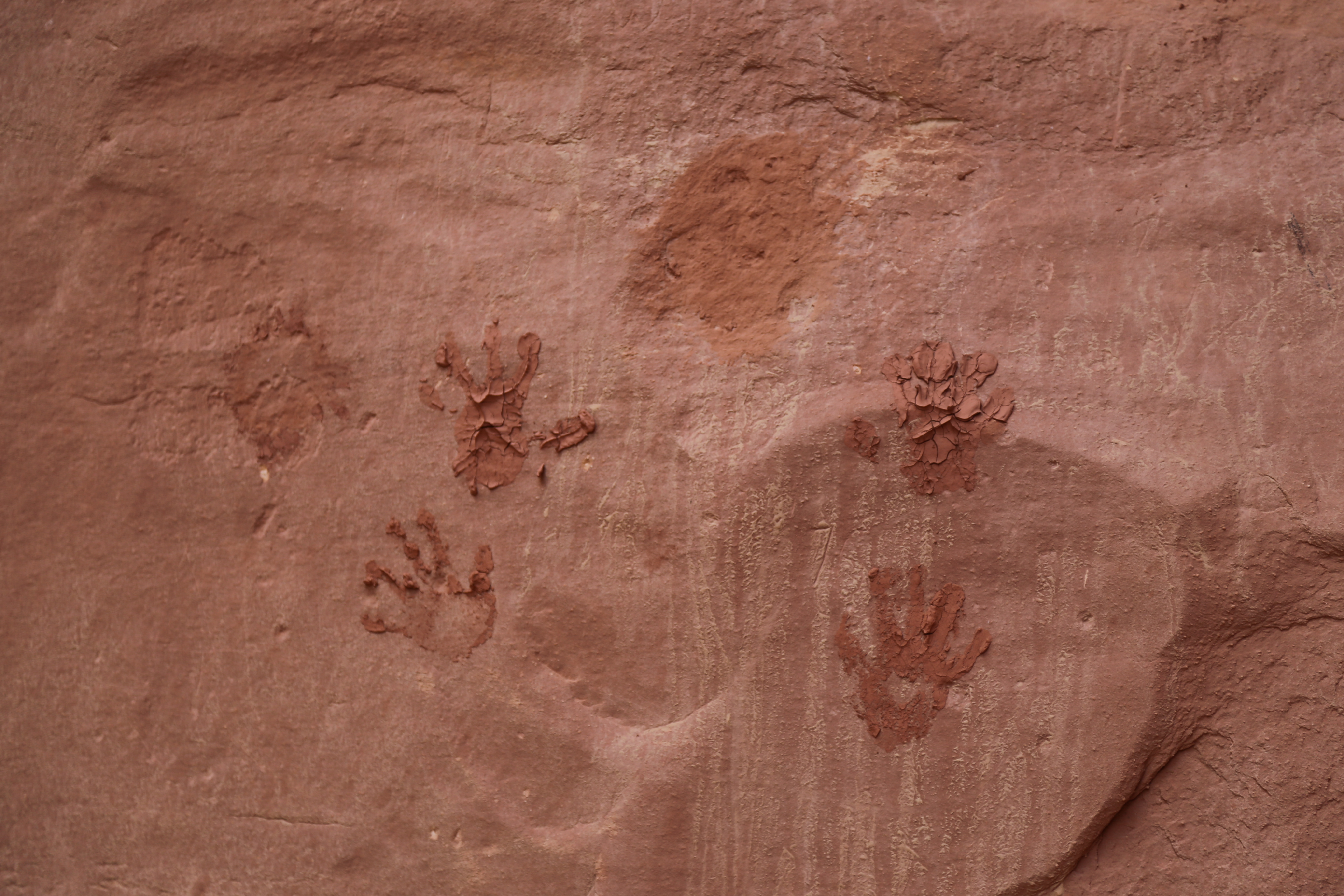 2015 Fall Break - Day 2 - Capitol Reef National Park (Grand Wash Narrows, Capitol Gorge (Petroglyphs, Narrows, Pioneer Register), Waterpocket Fold Drive (Notom-Bullfrog Road, Burr Trail Road), Hell's Backbone Grill (Boulder, Utah))