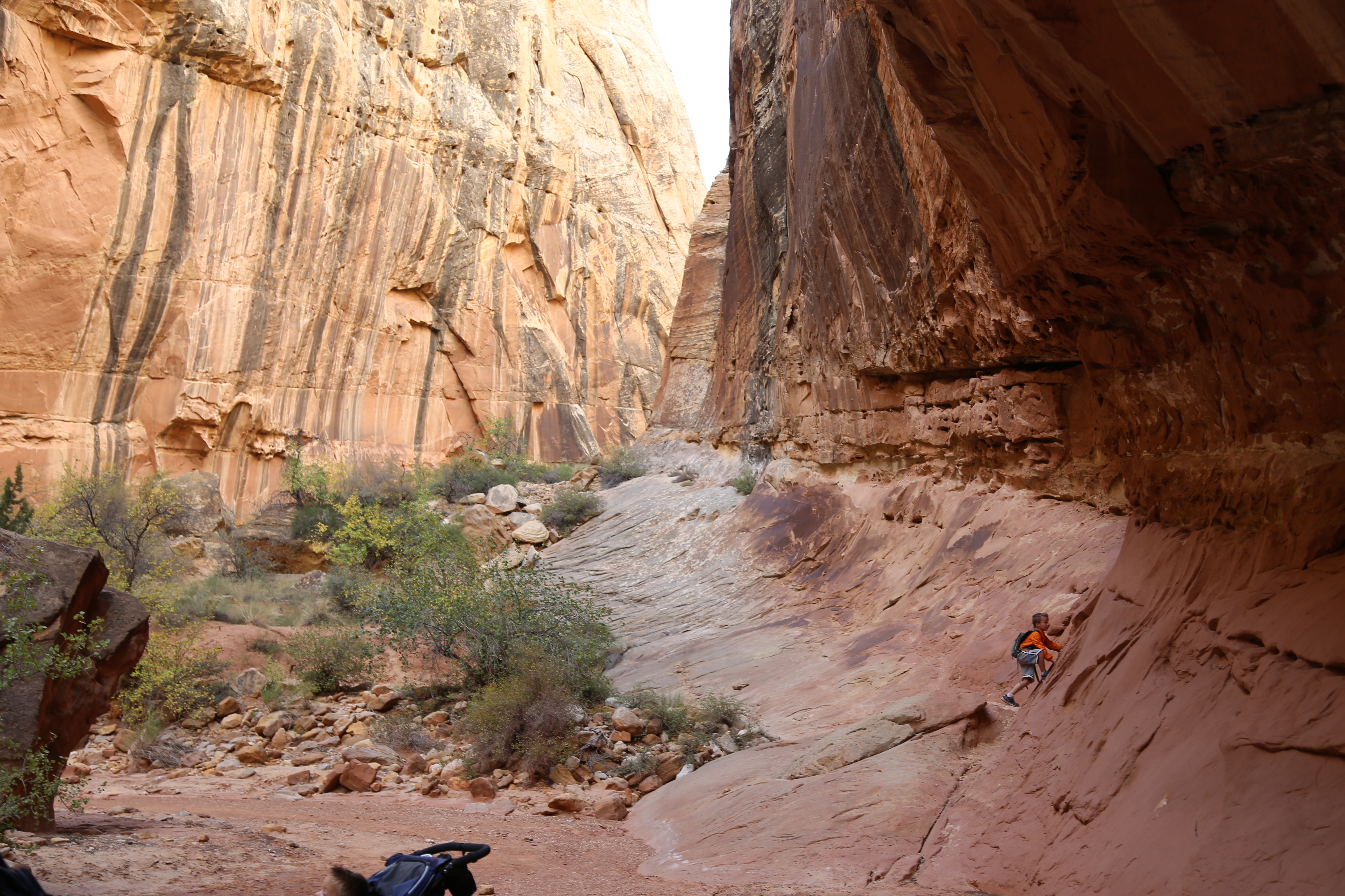 2015 Fall Break - Day 2 - Capitol Reef National Park (Grand Wash Narrows, Capitol Gorge (Petroglyphs, Narrows, Pioneer Register), Waterpocket Fold Drive (Notom-Bullfrog Road, Burr Trail Road), Hell's Backbone Grill (Boulder, Utah))