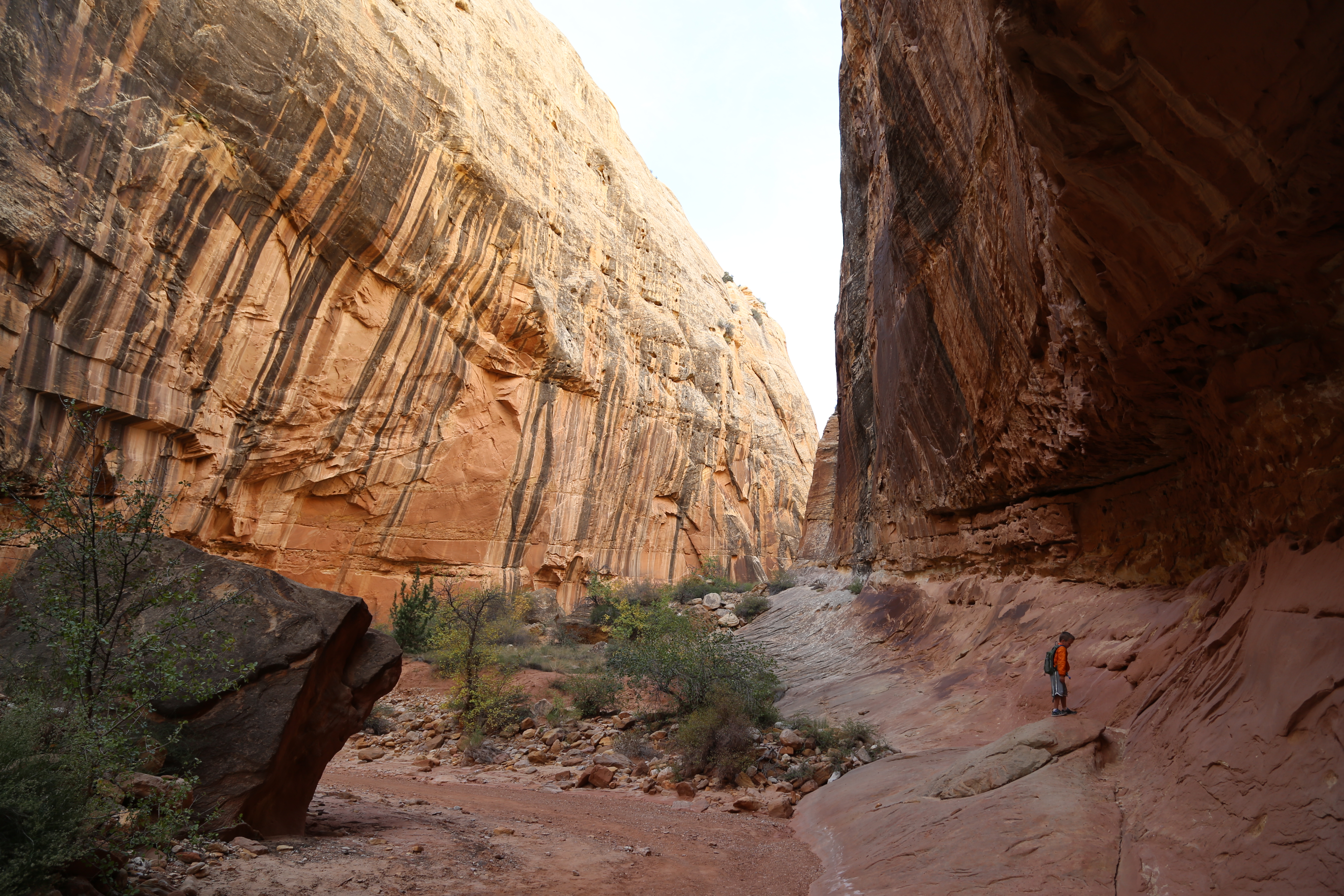 2015 Fall Break - Day 2 - Capitol Reef National Park (Grand Wash Narrows, Capitol Gorge (Petroglyphs, Narrows, Pioneer Register), Waterpocket Fold Drive (Notom-Bullfrog Road, Burr Trail Road), Hell's Backbone Grill (Boulder, Utah))