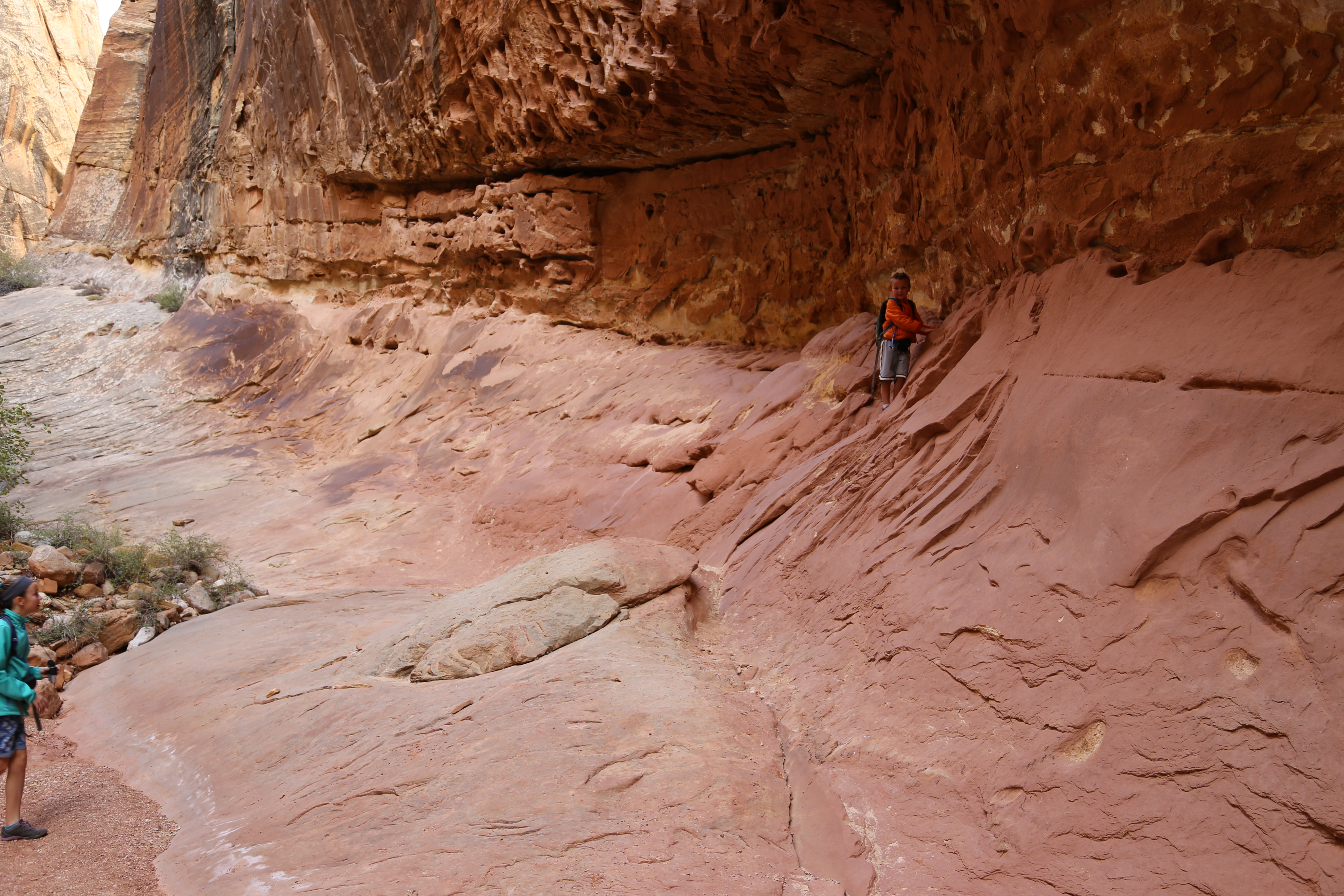 2015 Fall Break - Day 2 - Capitol Reef National Park (Grand Wash Narrows, Capitol Gorge (Petroglyphs, Narrows, Pioneer Register), Waterpocket Fold Drive (Notom-Bullfrog Road, Burr Trail Road), Hell's Backbone Grill (Boulder, Utah))