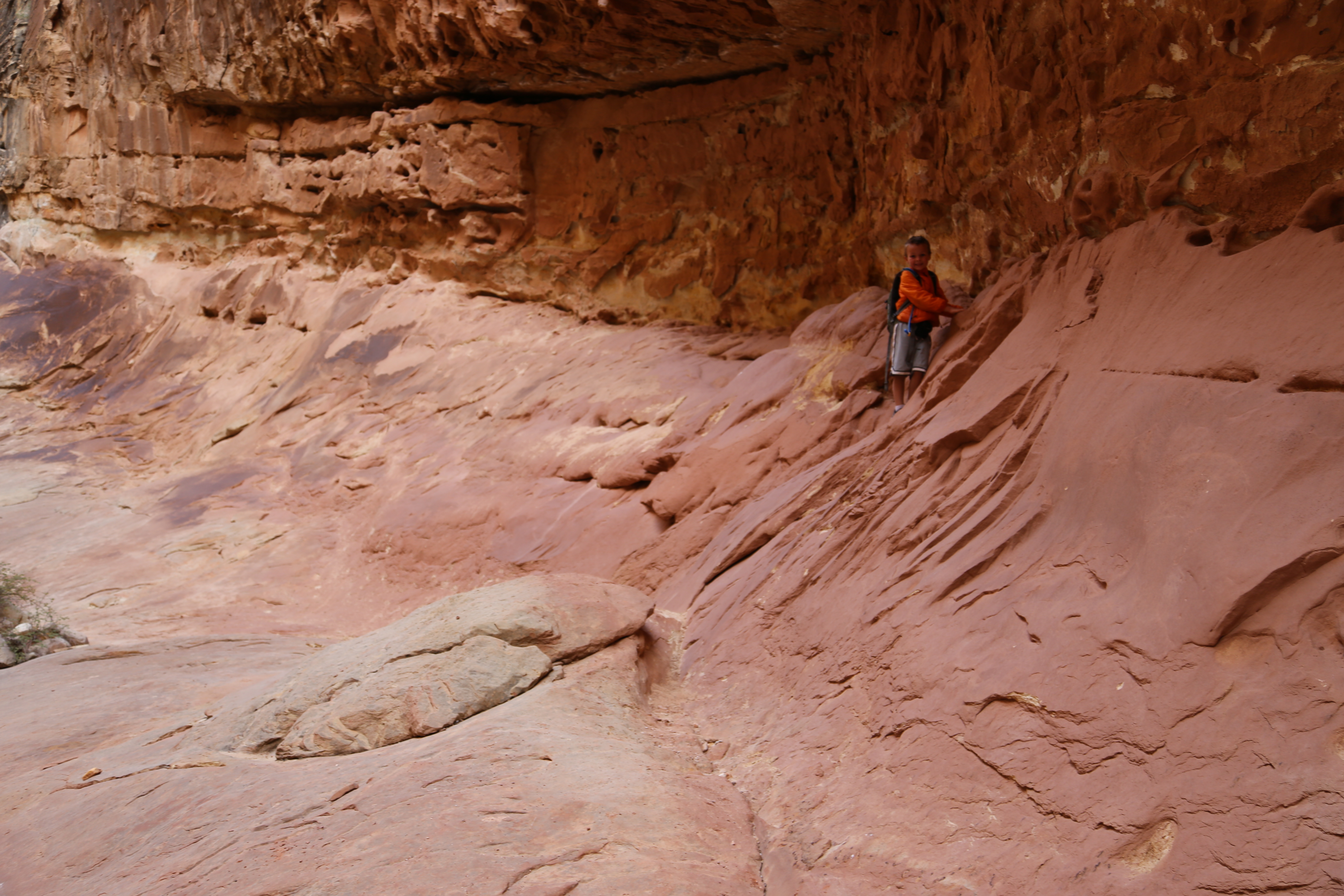 2015 Fall Break - Day 2 - Capitol Reef National Park (Grand Wash Narrows, Capitol Gorge (Petroglyphs, Narrows, Pioneer Register), Waterpocket Fold Drive (Notom-Bullfrog Road, Burr Trail Road), Hell's Backbone Grill (Boulder, Utah))